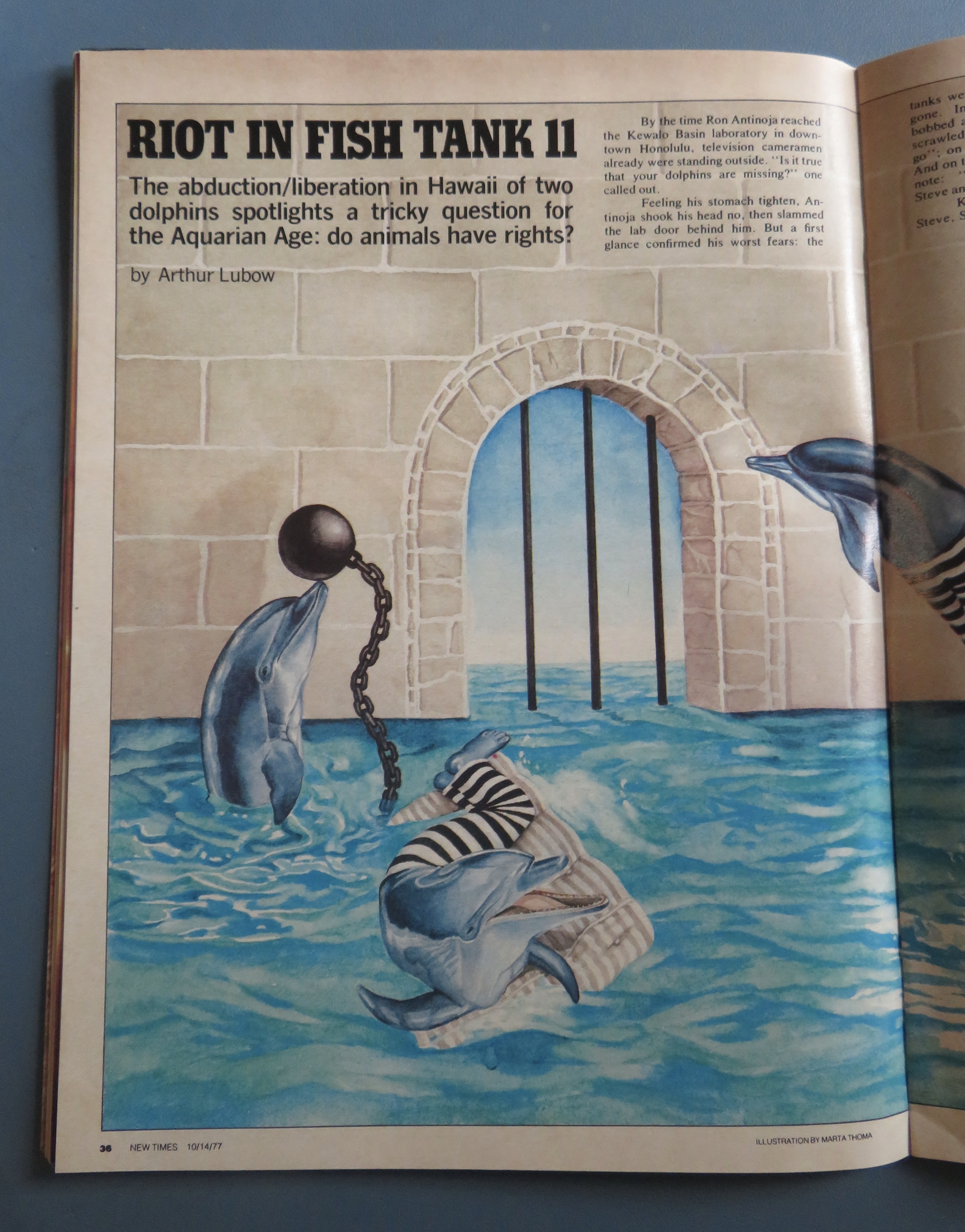 New Times Magazine October 14, 1977 Dolphin Set Free