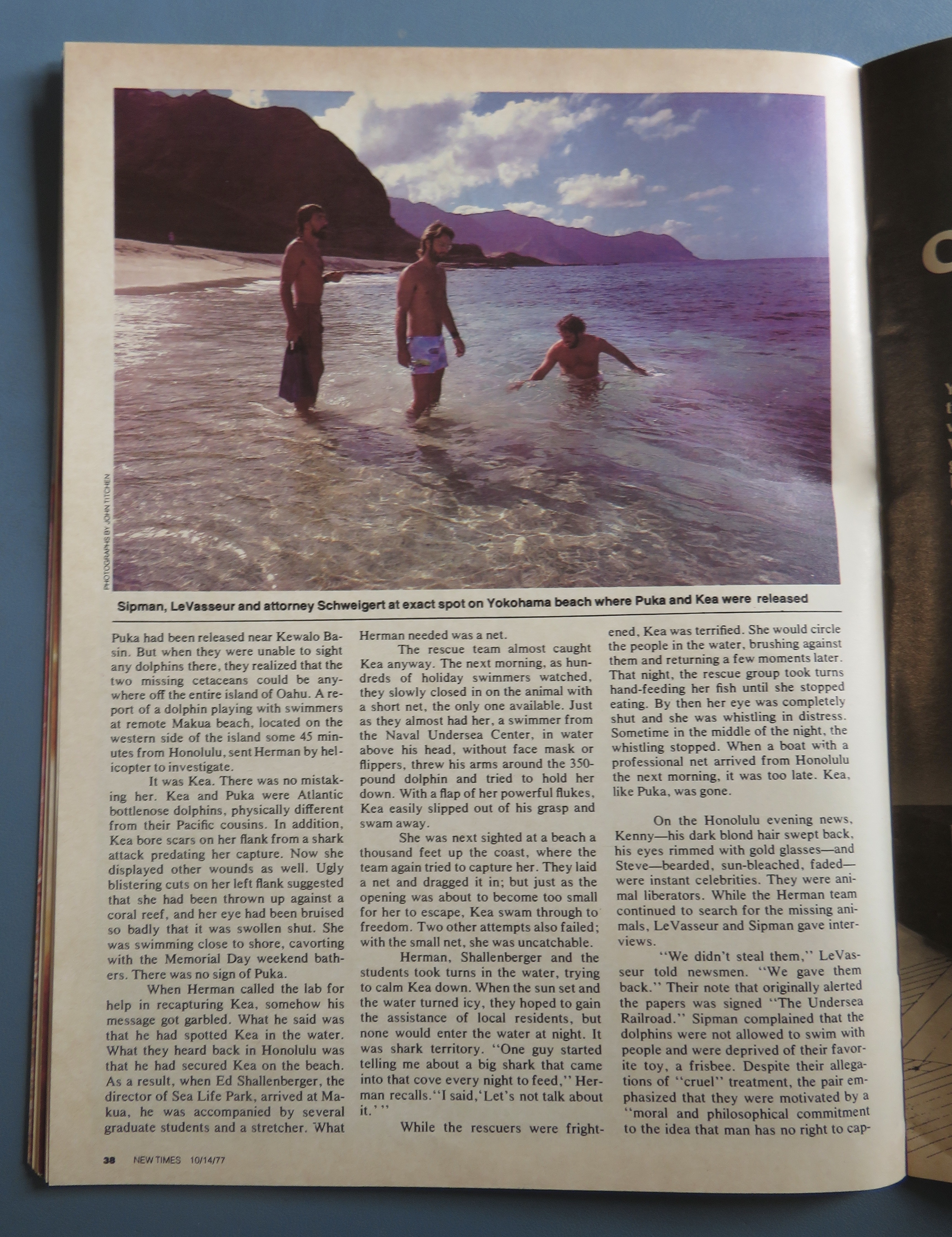 New Times Magazine October 14, 1977 Dolphin Set Free