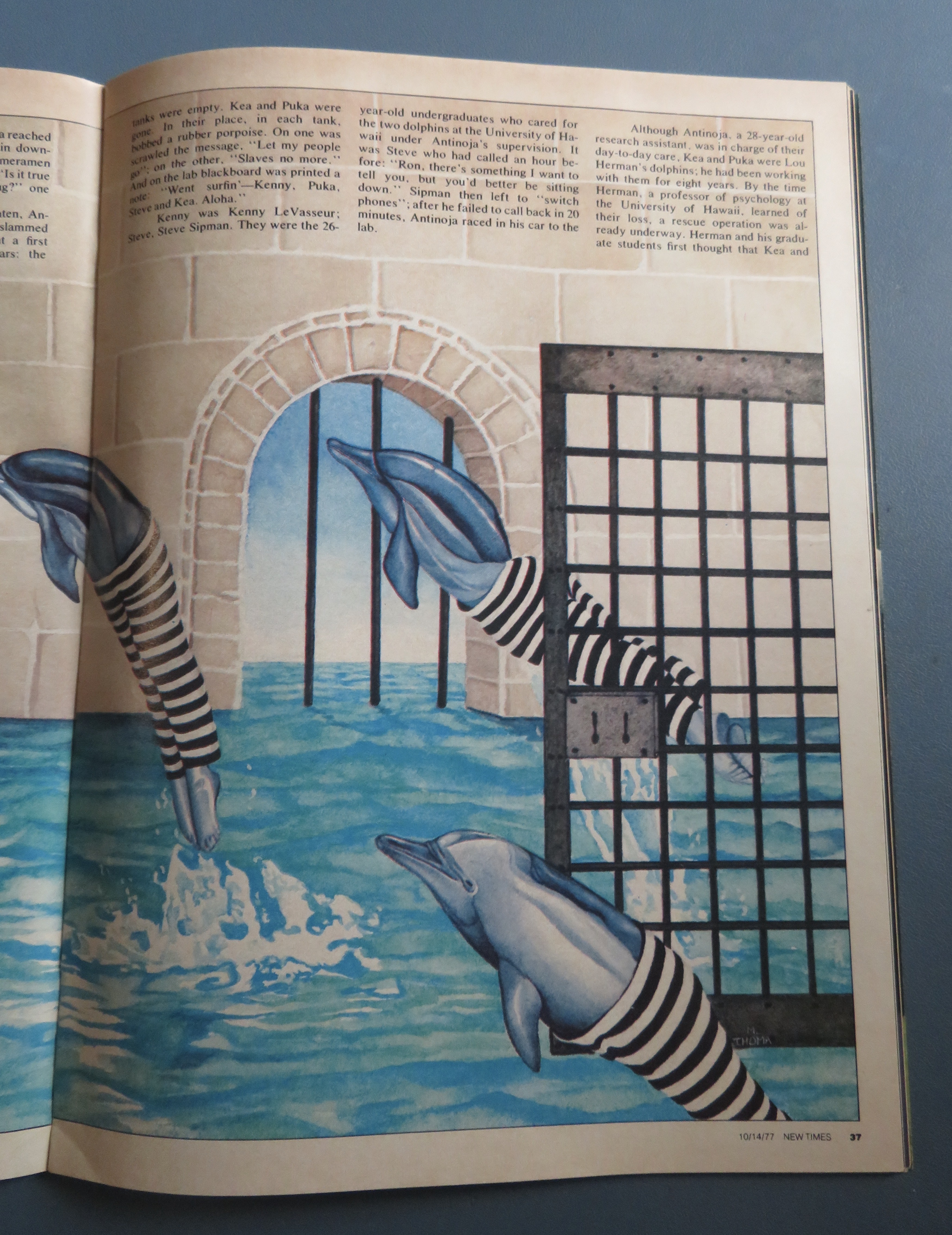 New Times Magazine October 14, 1977 Dolphin Set Free