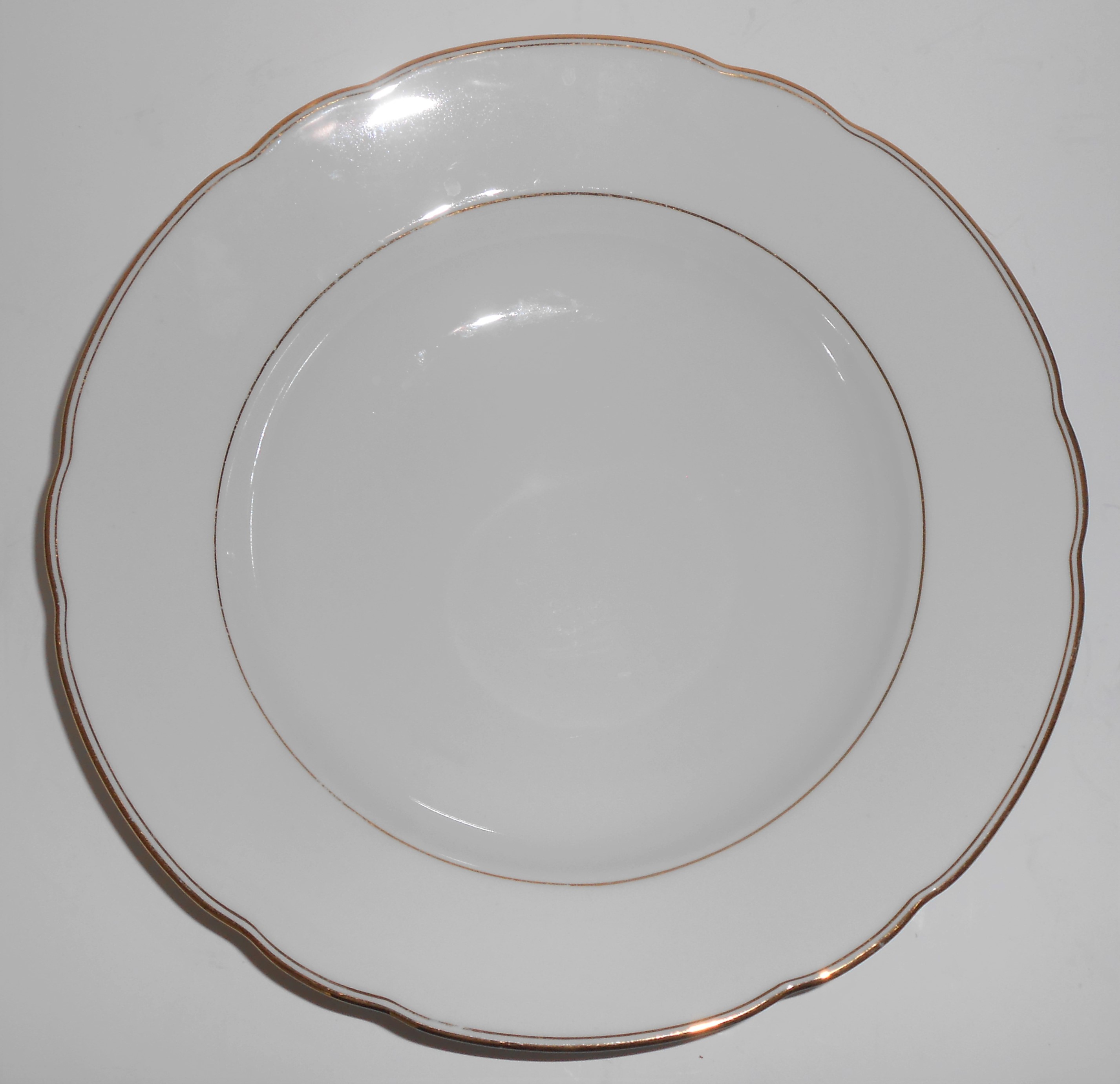 Seltmann Germany Porcelain China Rimmed Soup Bowl
