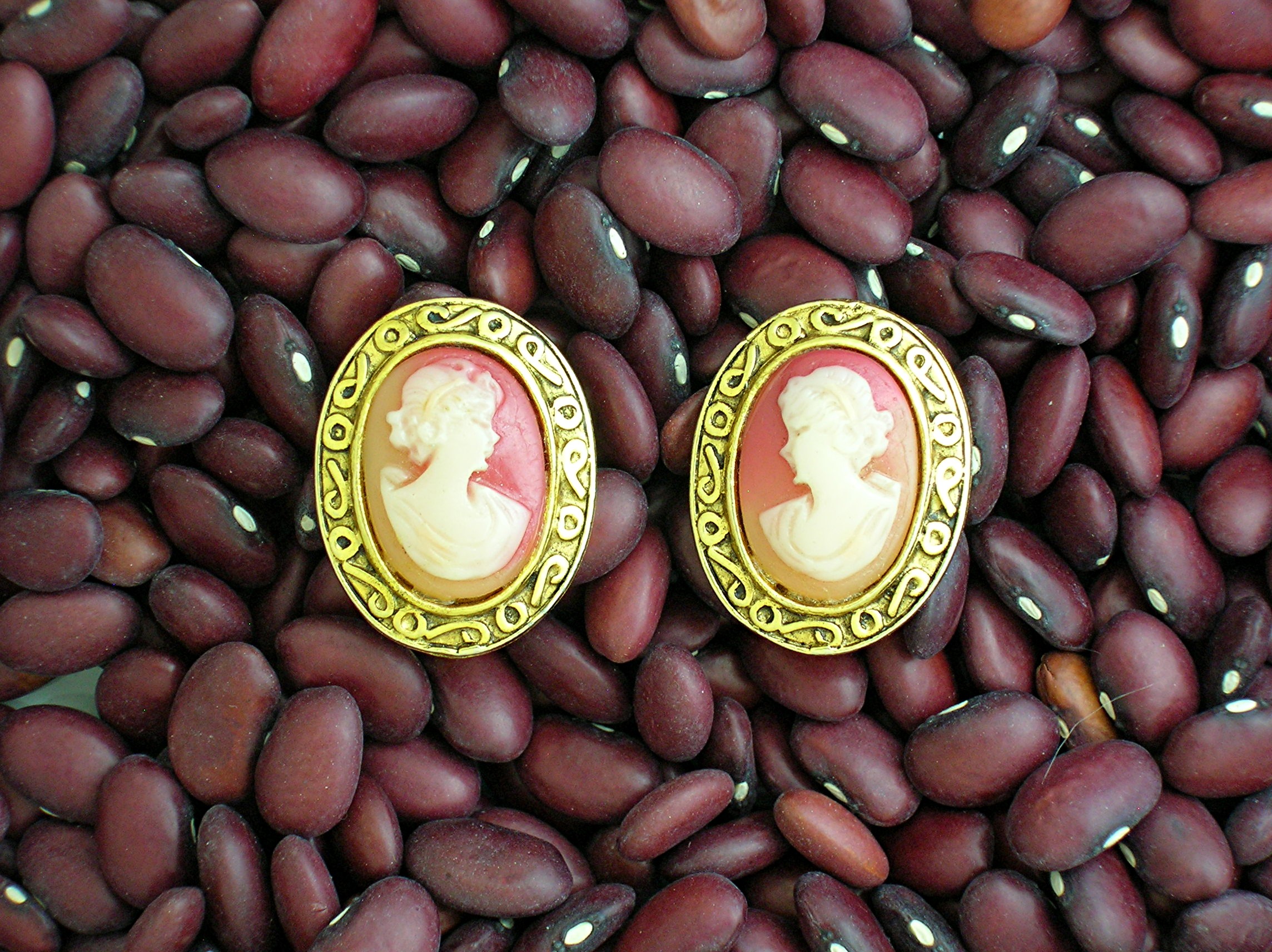 Clip Earrings goldtone set cameos