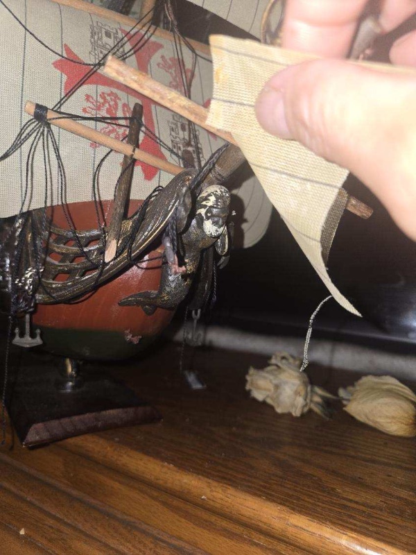 Image000005