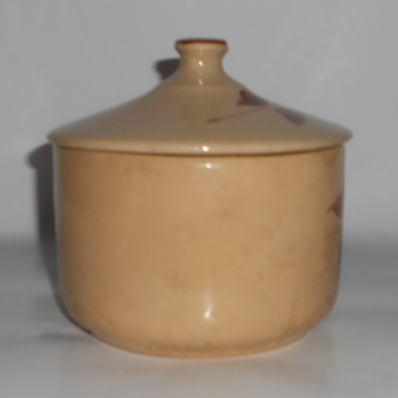 VINTAGE Watt Pottery Autumn Foliage VERY RARE #10 Grease Jar