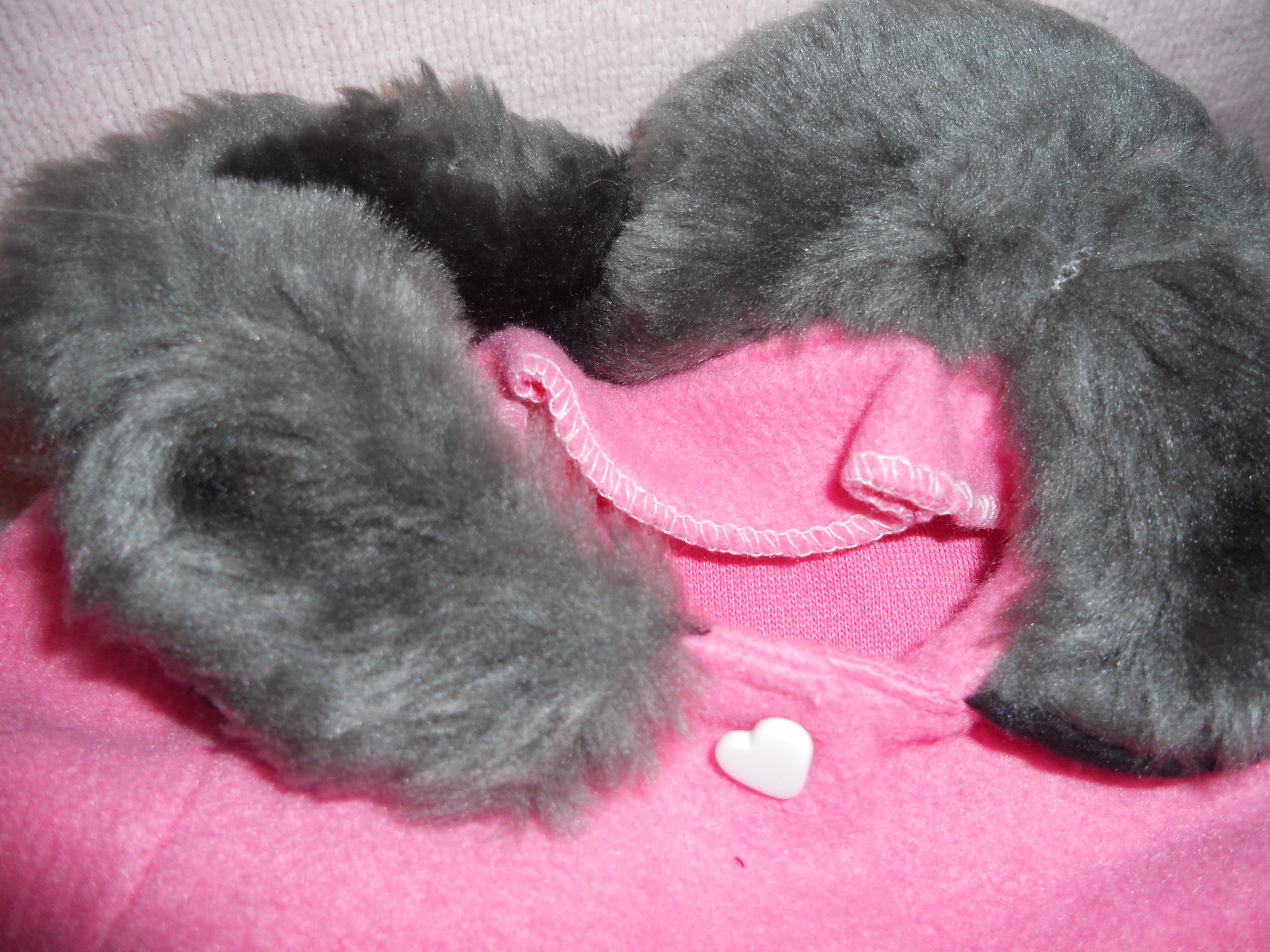 Doll Coat Fur Trimmed will fit 18 inch doll