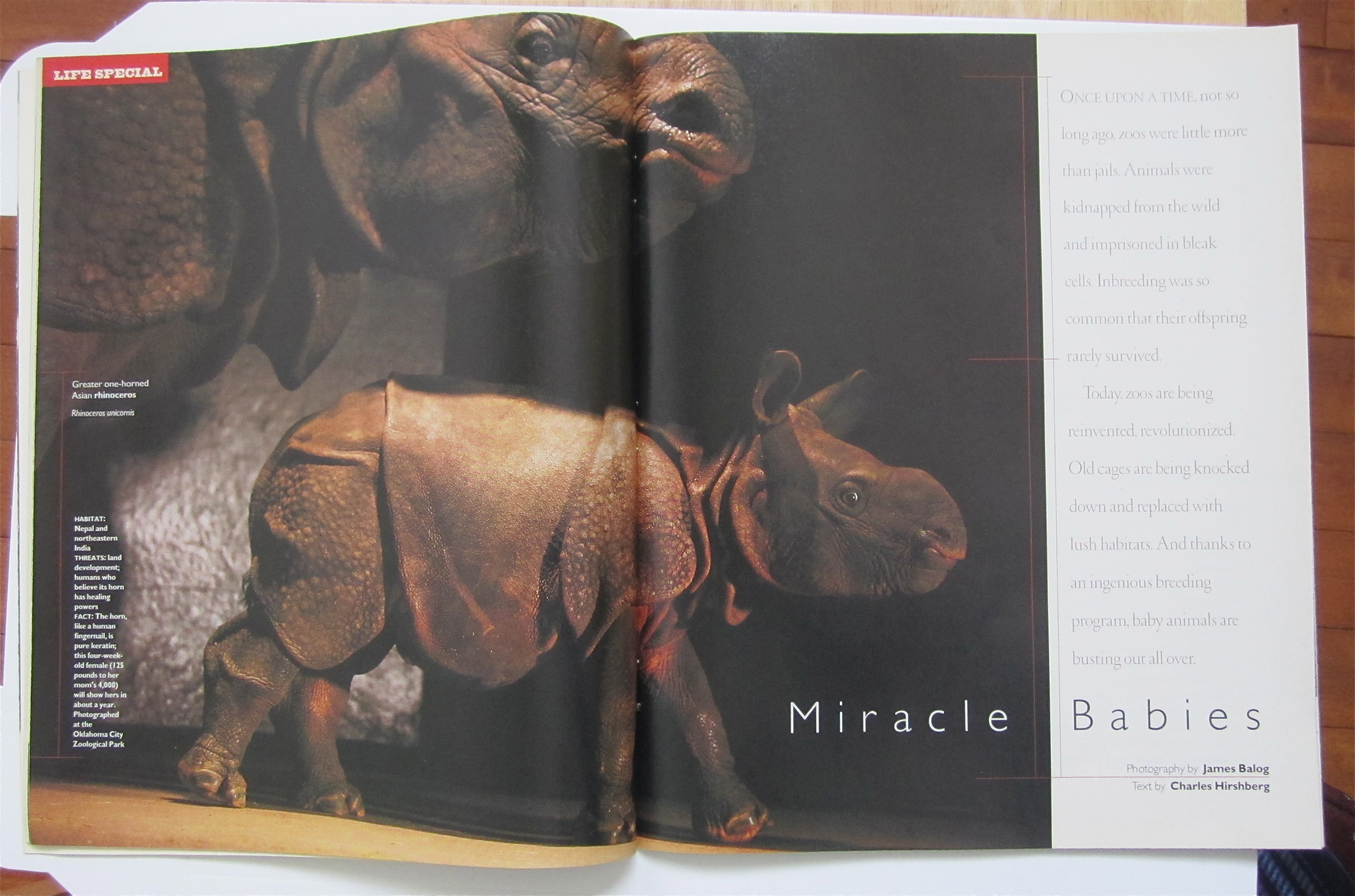 Life Magazine-March 1997-Miracle Babies