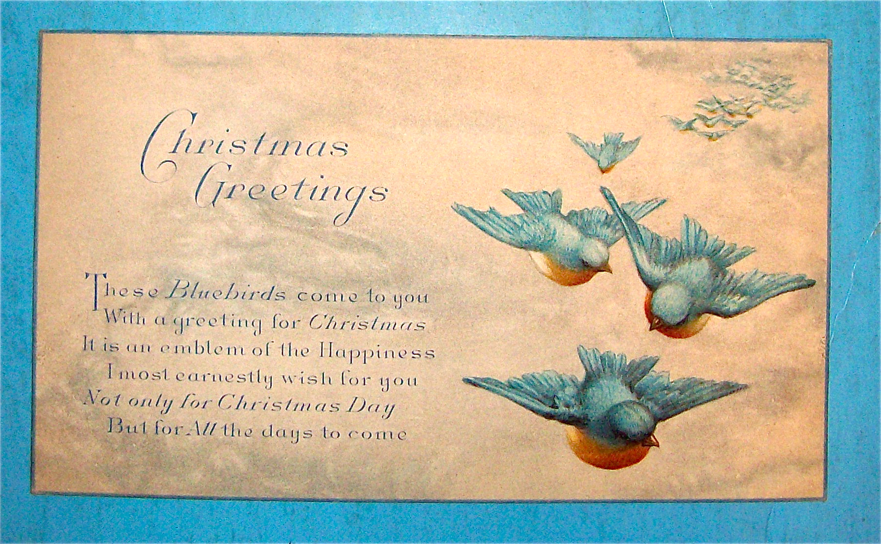 Christmas Greetings Postcard With Birds Flying