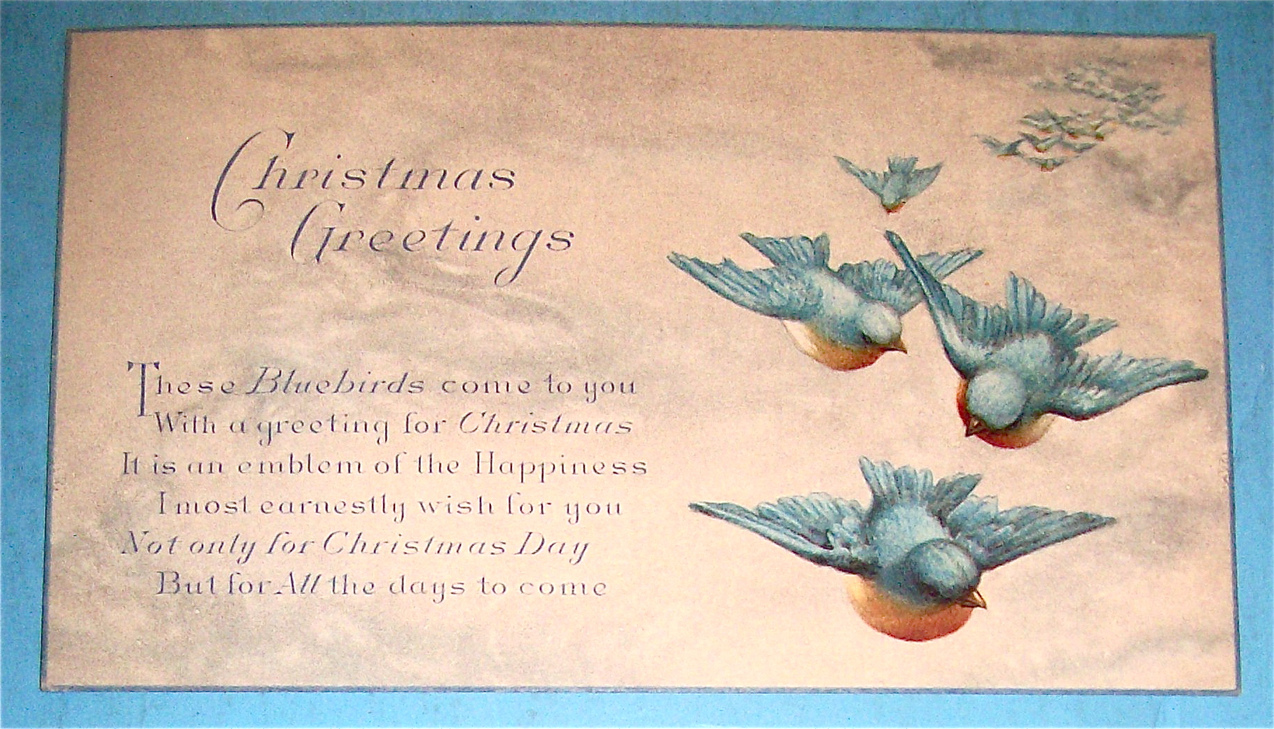 Christmas Greetings Postcard With Birds Flying