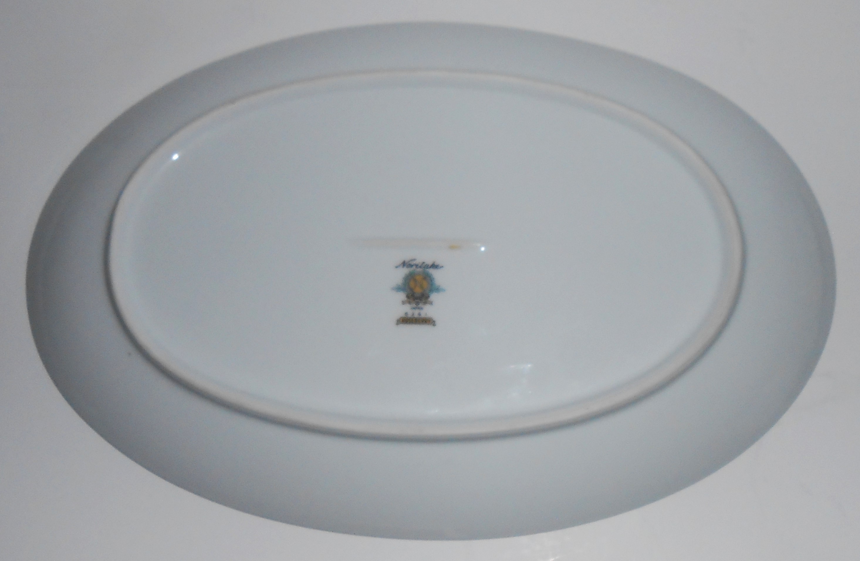 Noritake Porcelain China Roseberry 6241 w/Platinum Plat