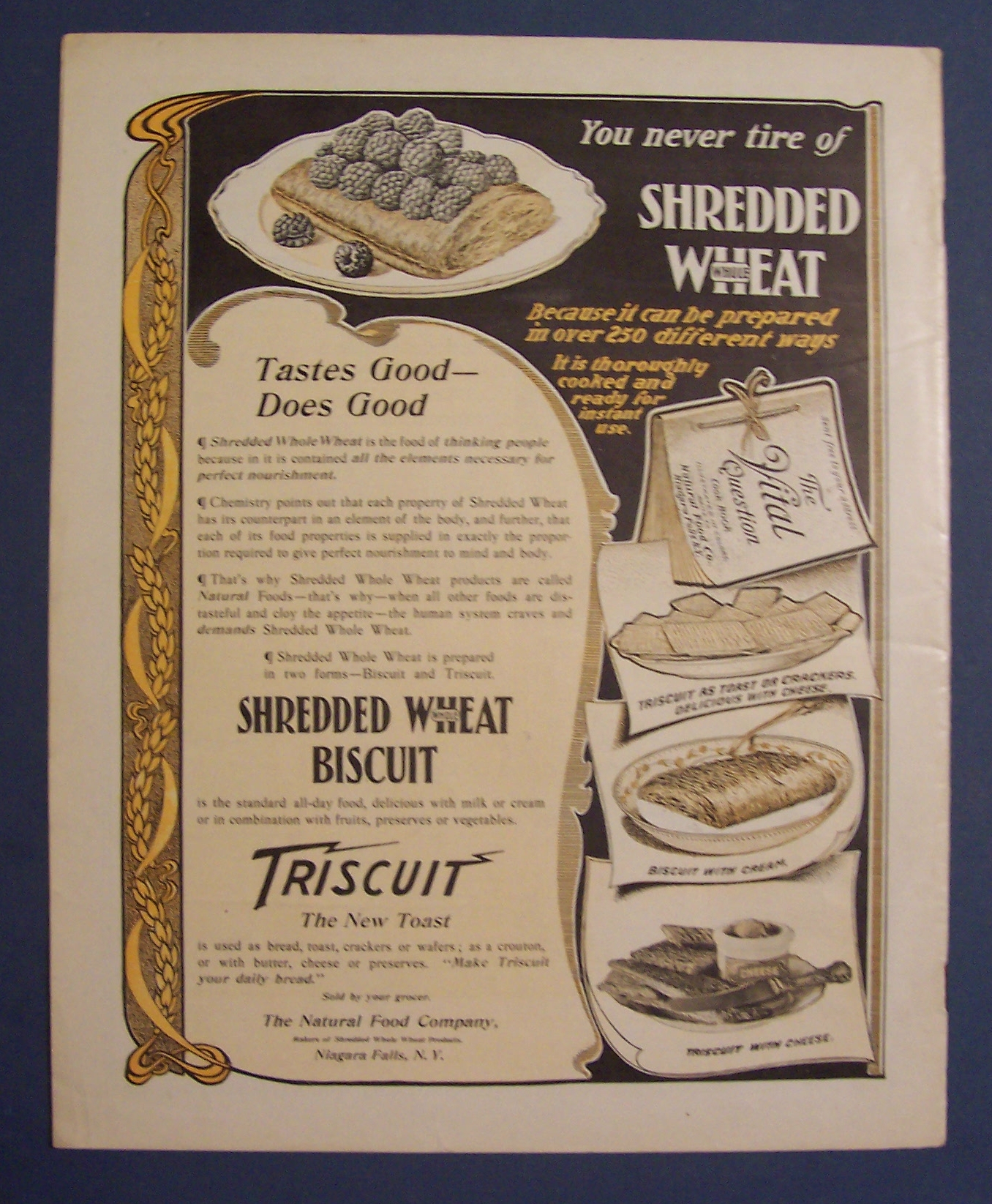 Saturday  Evening  Post  Magazine - July 30, 1904