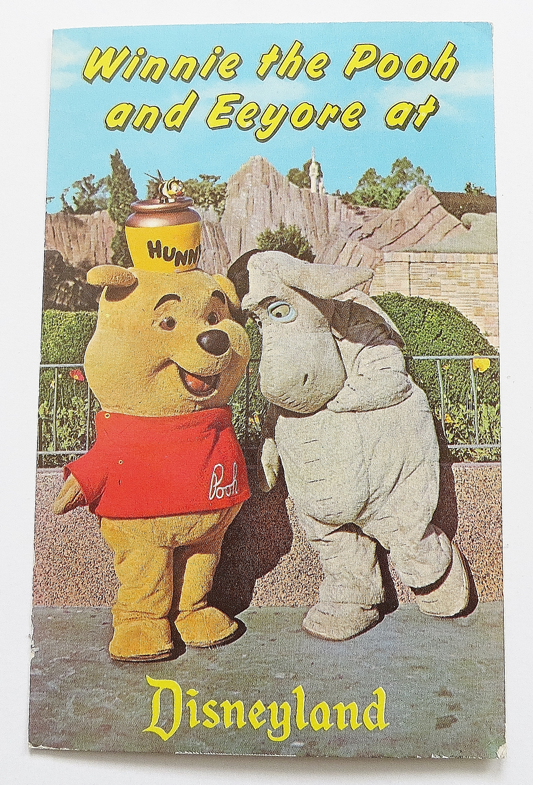 Winnie The Pooh & Eeyore At Disneyland