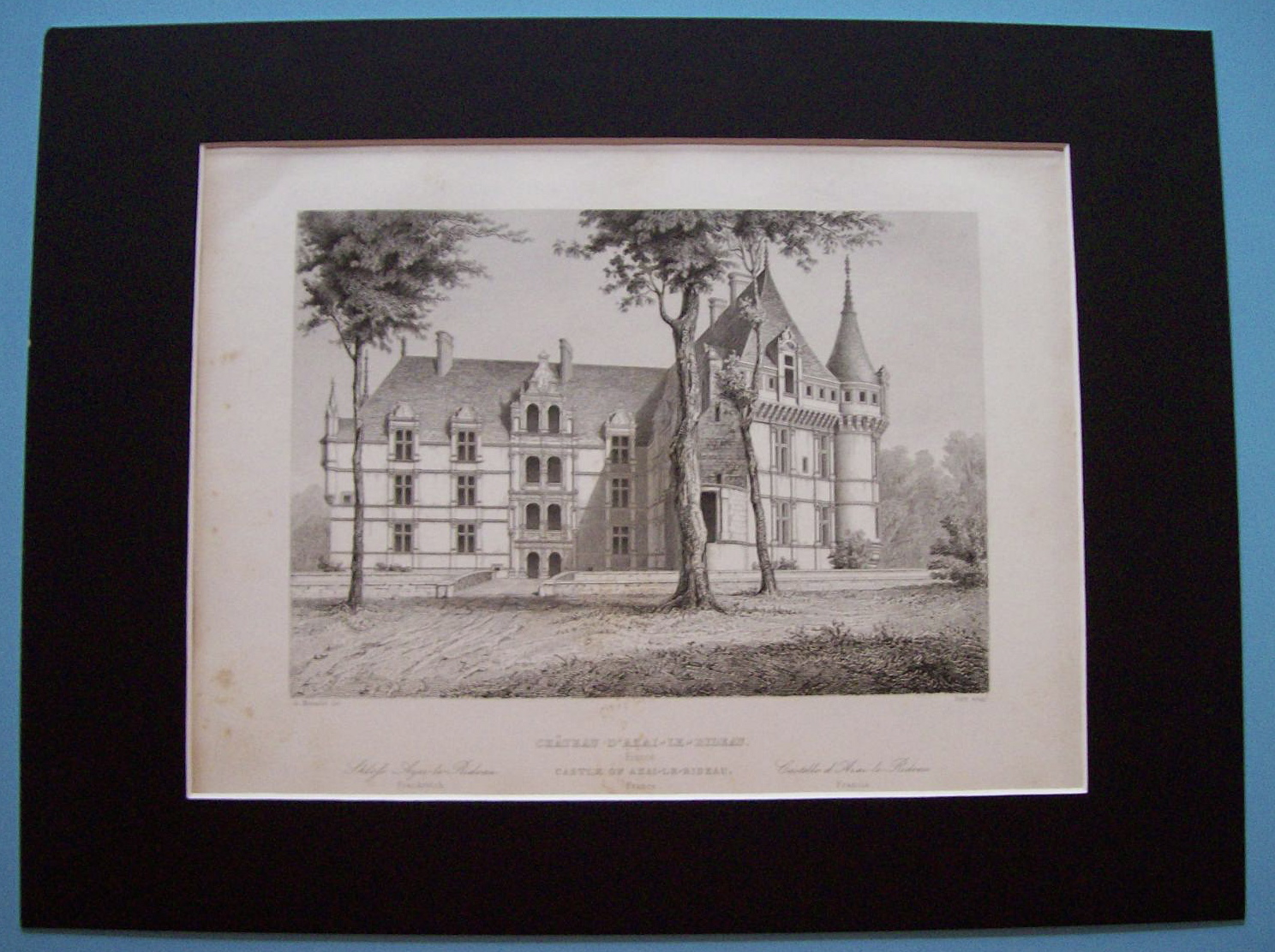 Chateau D'Azai - Le - Rideau