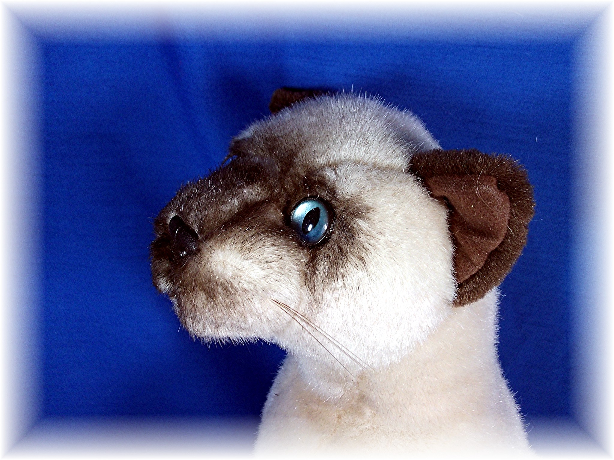 Soft Classics 1995 Siamese Cat Stuffed Animal Toy