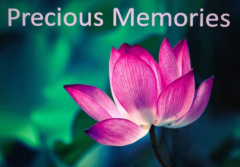 Precious Memories banner