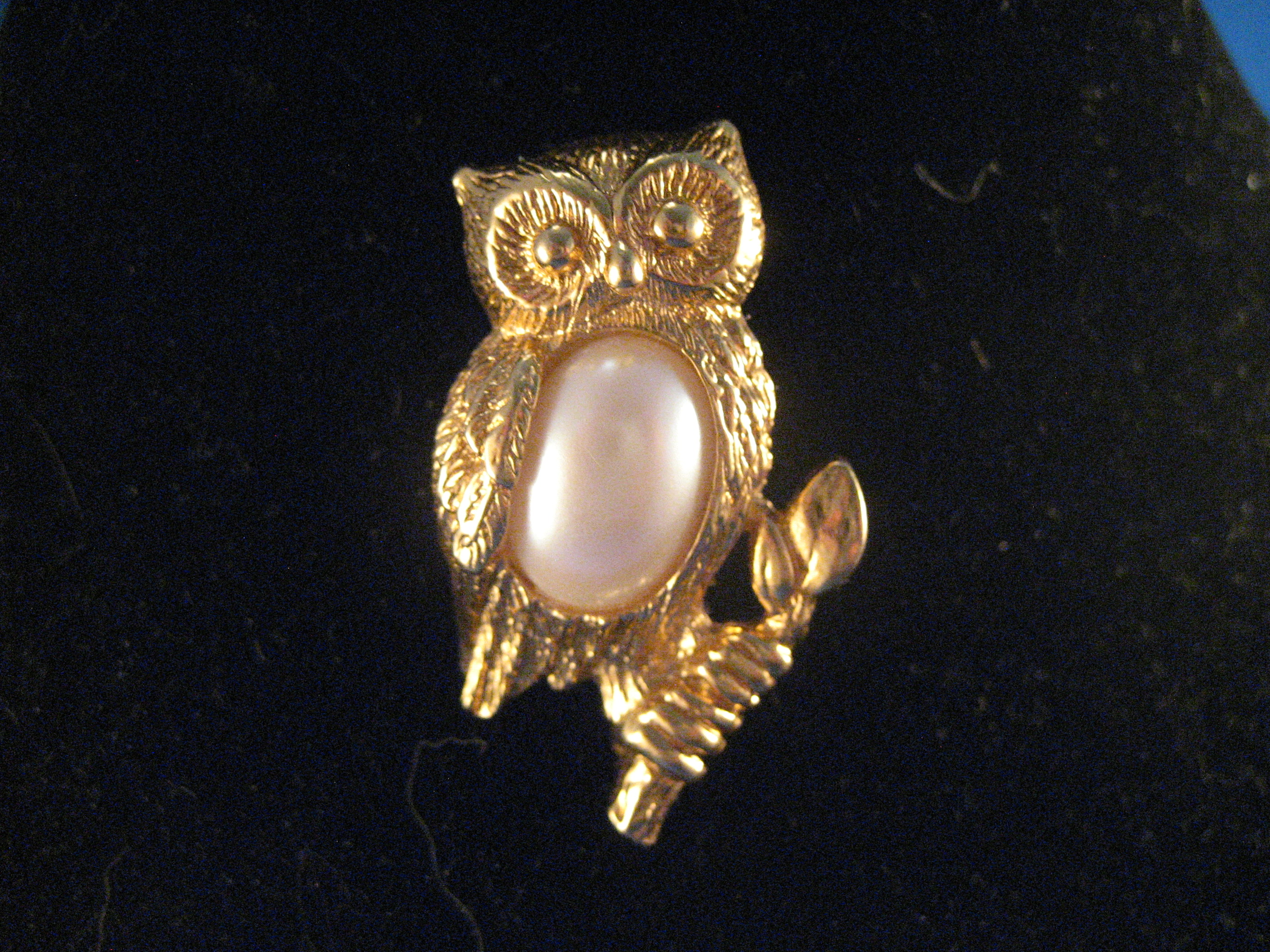 Avon Owl Pin