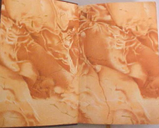 Dickens Barnaby Rudge Leather 1900's