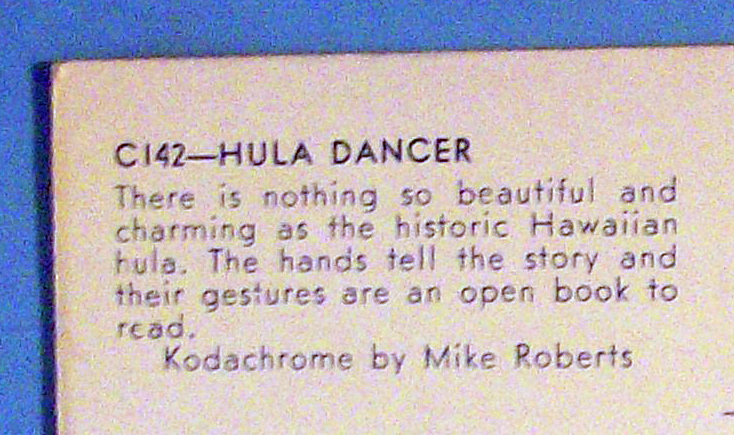 Beautiful Hula Dancer in Hawaii Postcard