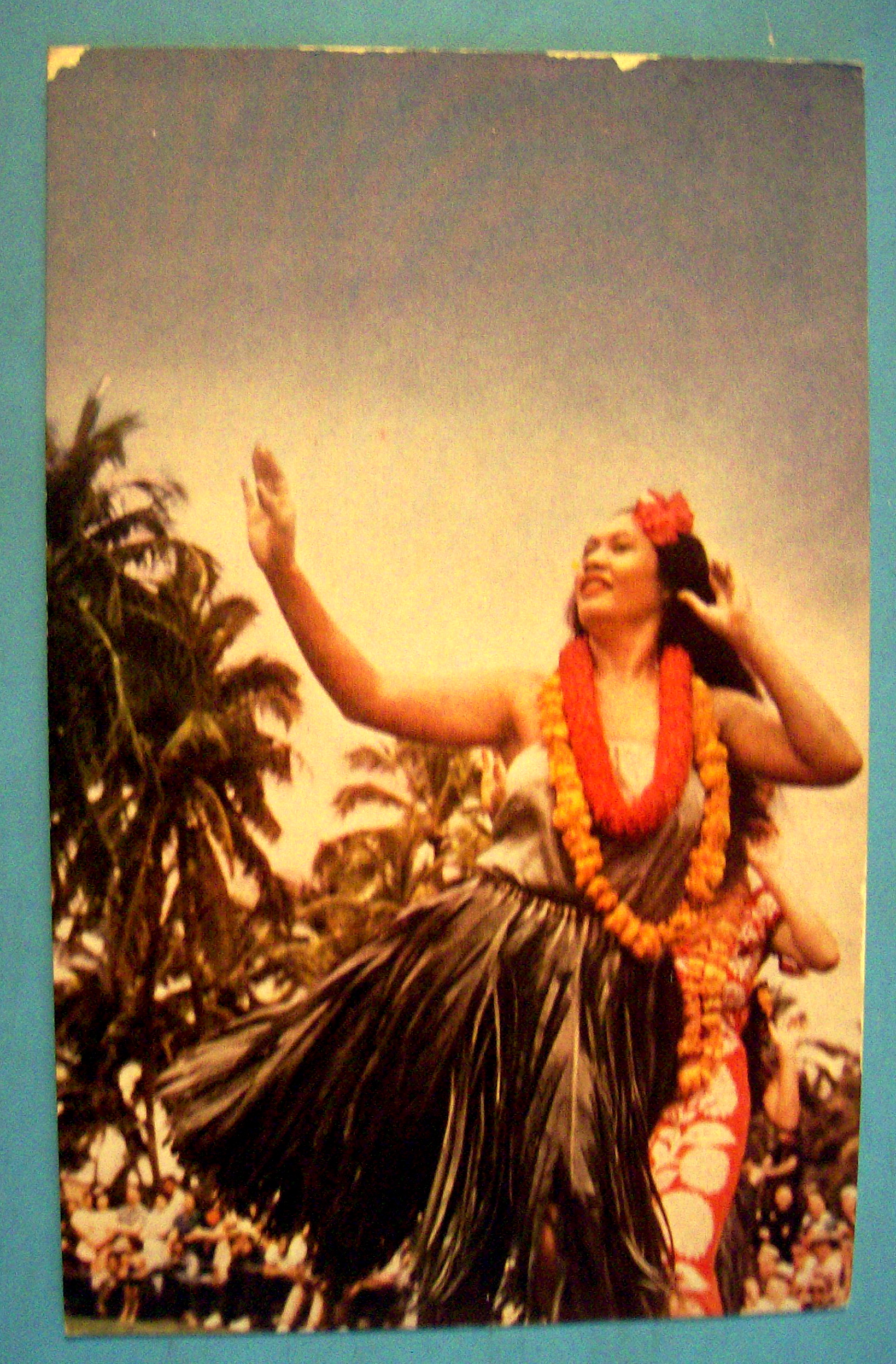 Beautiful Hula Dancer in Hawaii Postcard