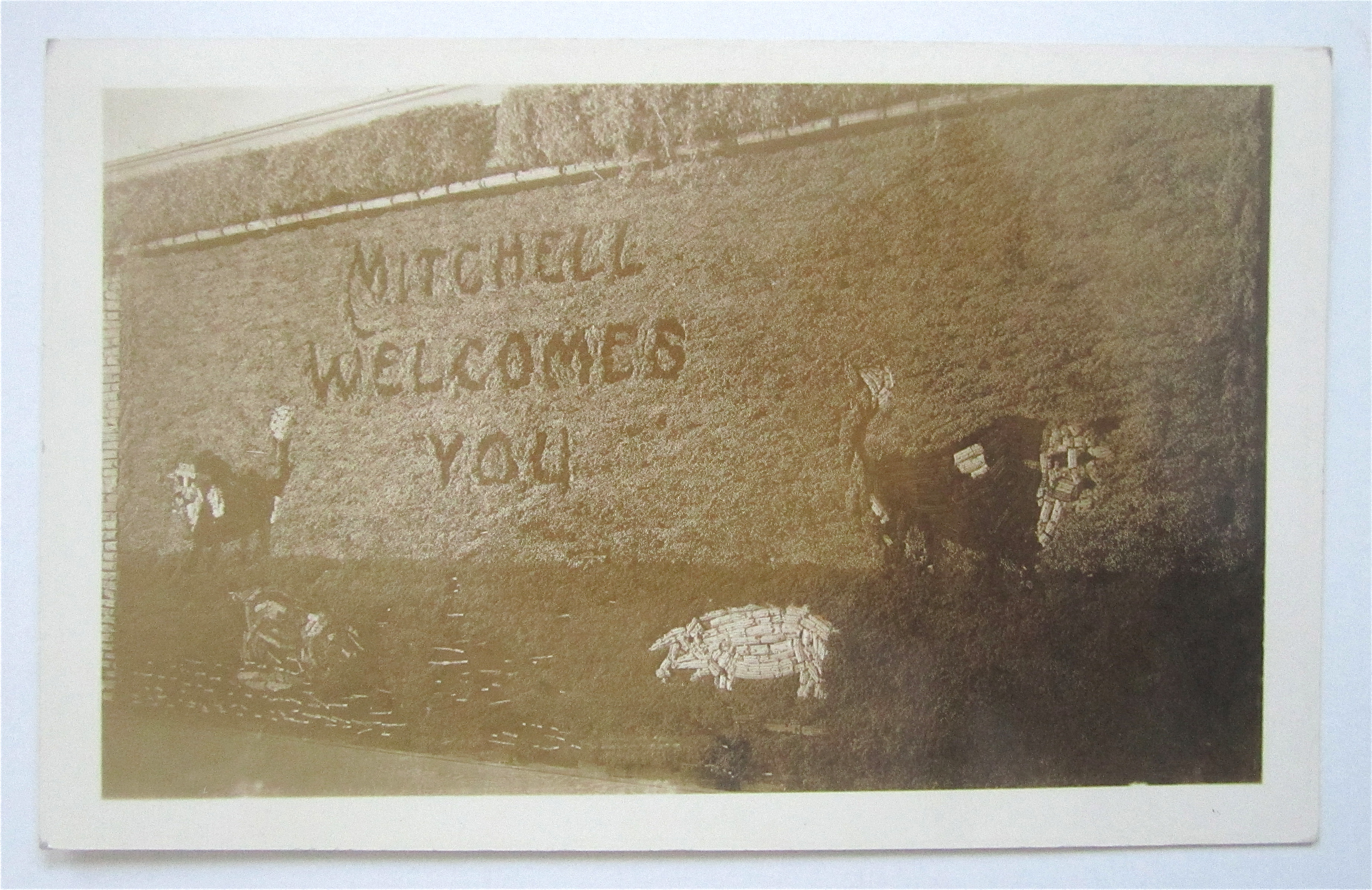 Mitchell Welcomes You Postcard