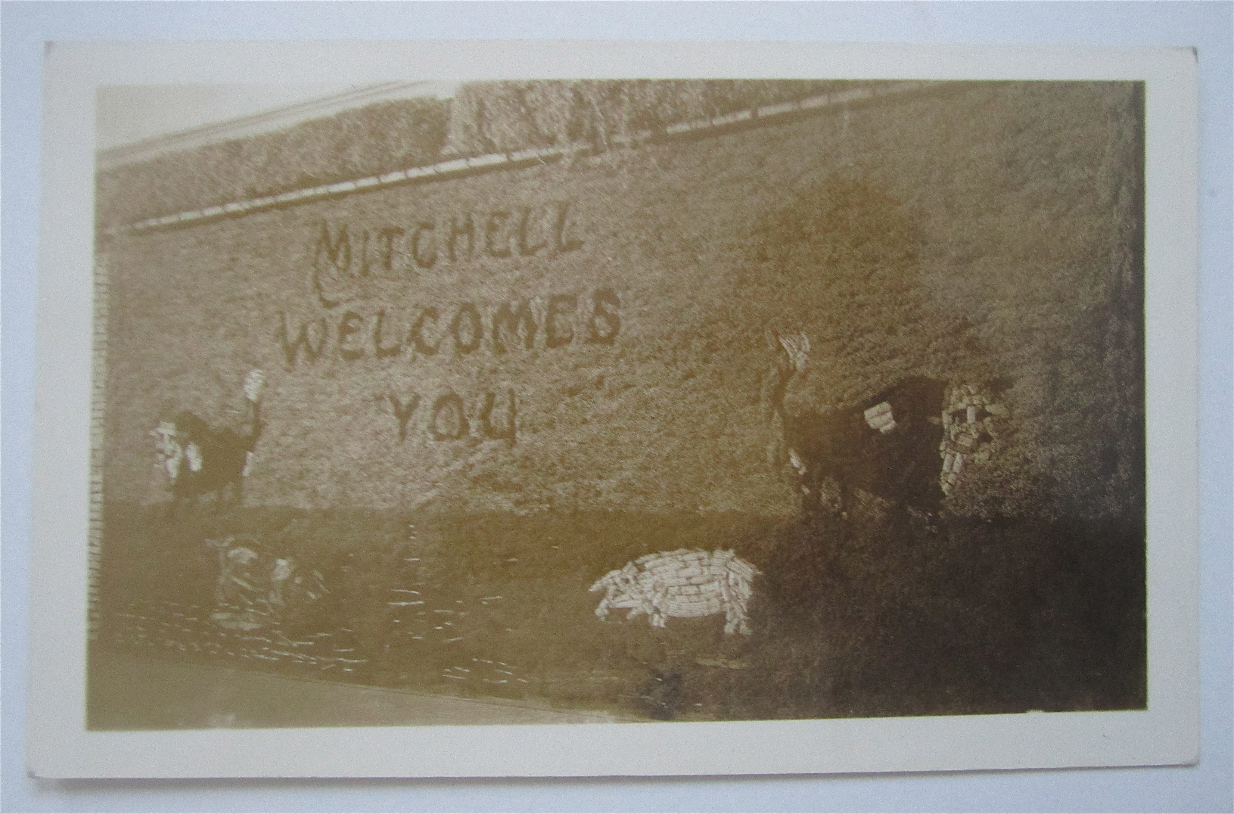 Mitchell Welcomes You Postcard