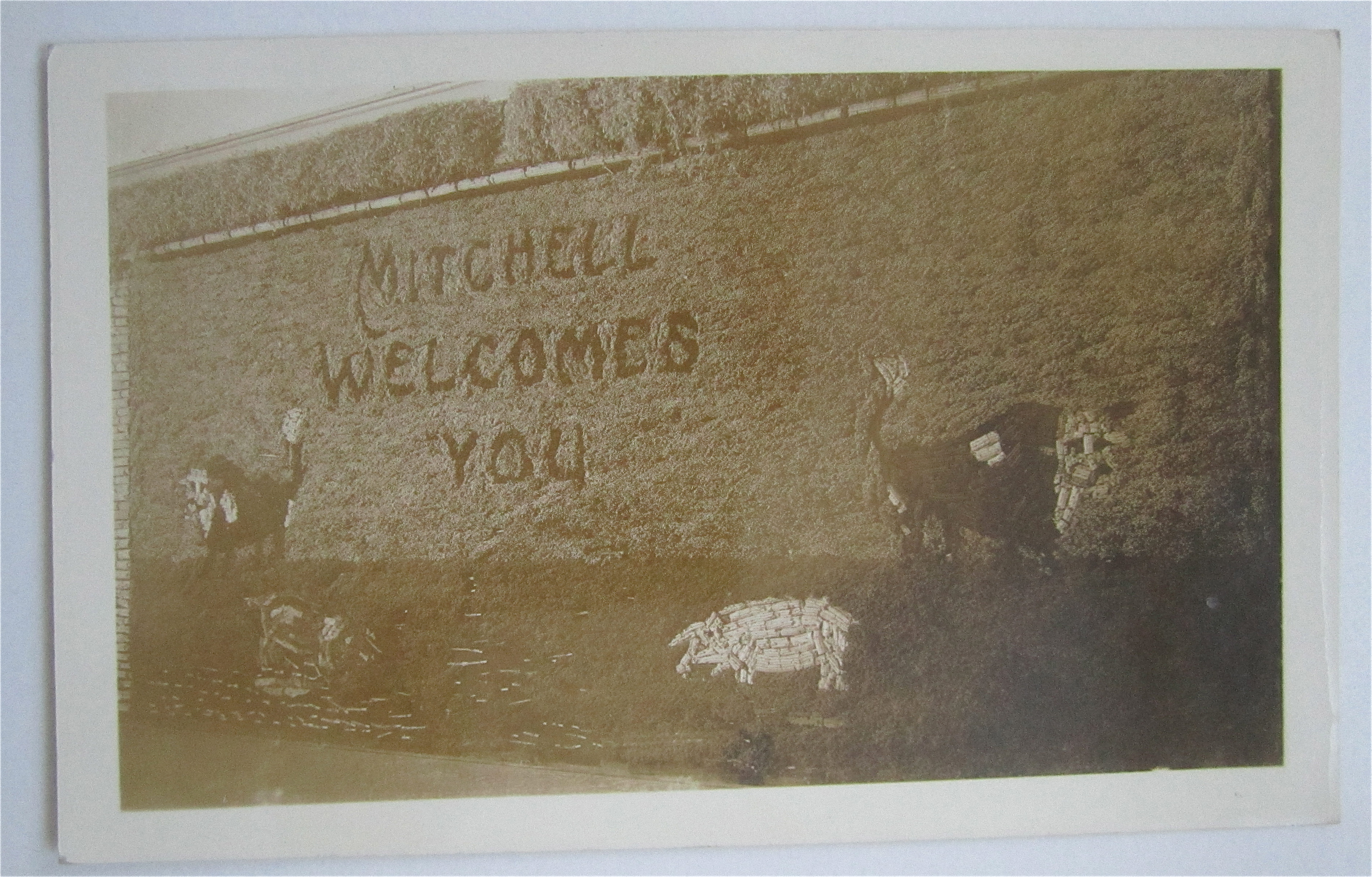 Mitchell Welcomes You Postcard