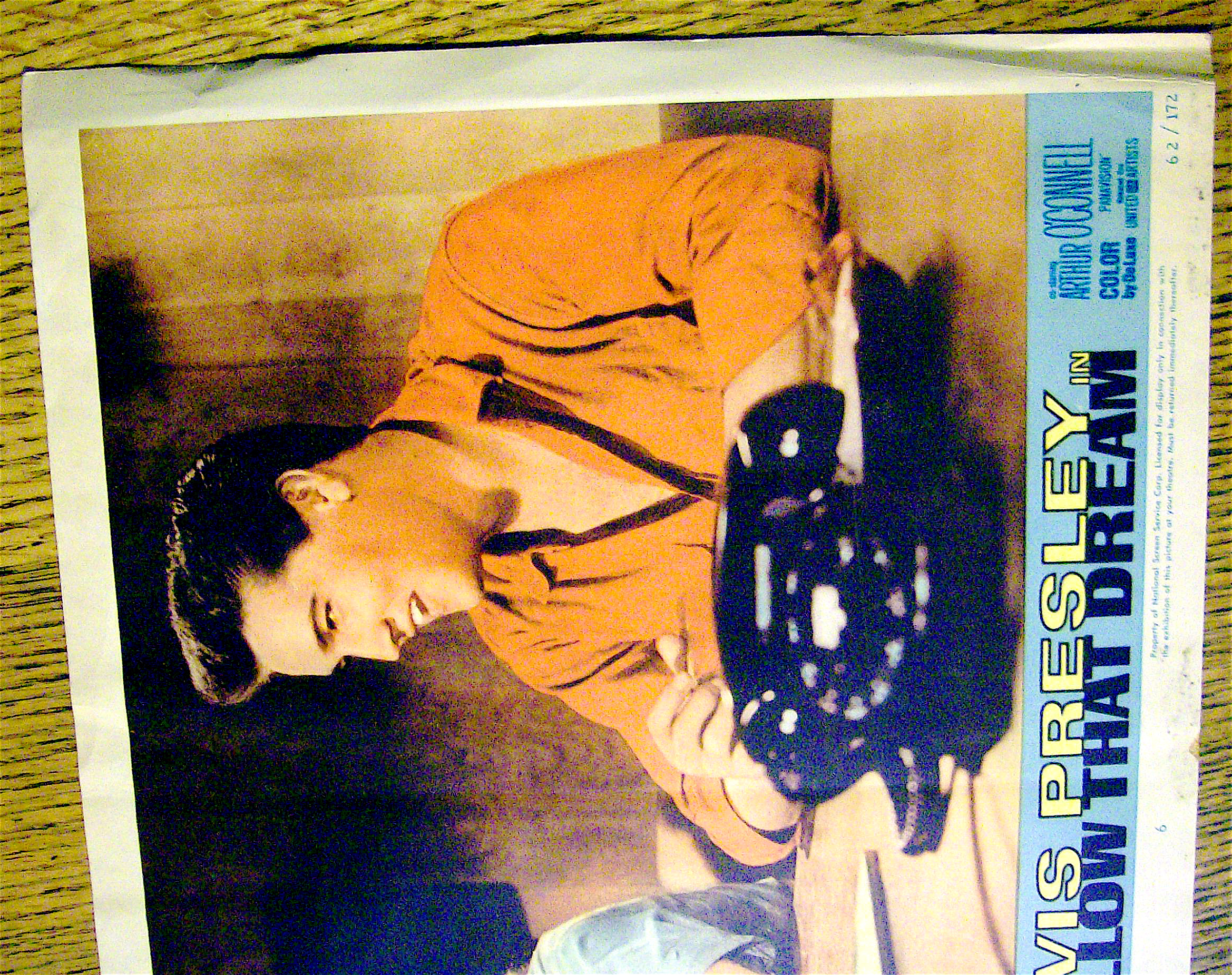 Follow That Dream Lobby Card 1962 Elvis Presley