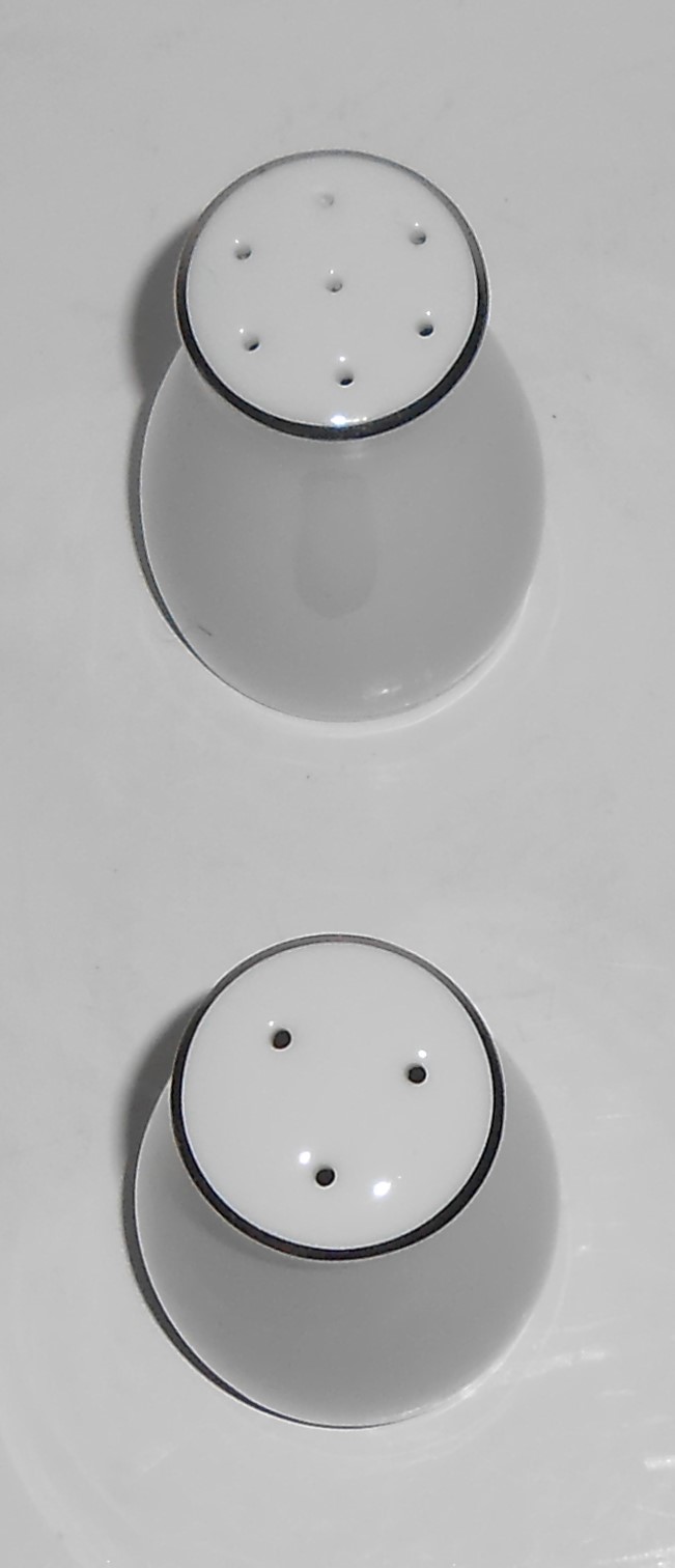 Noritake Porcelain China 6139 Harwood Platinum Salt & P
