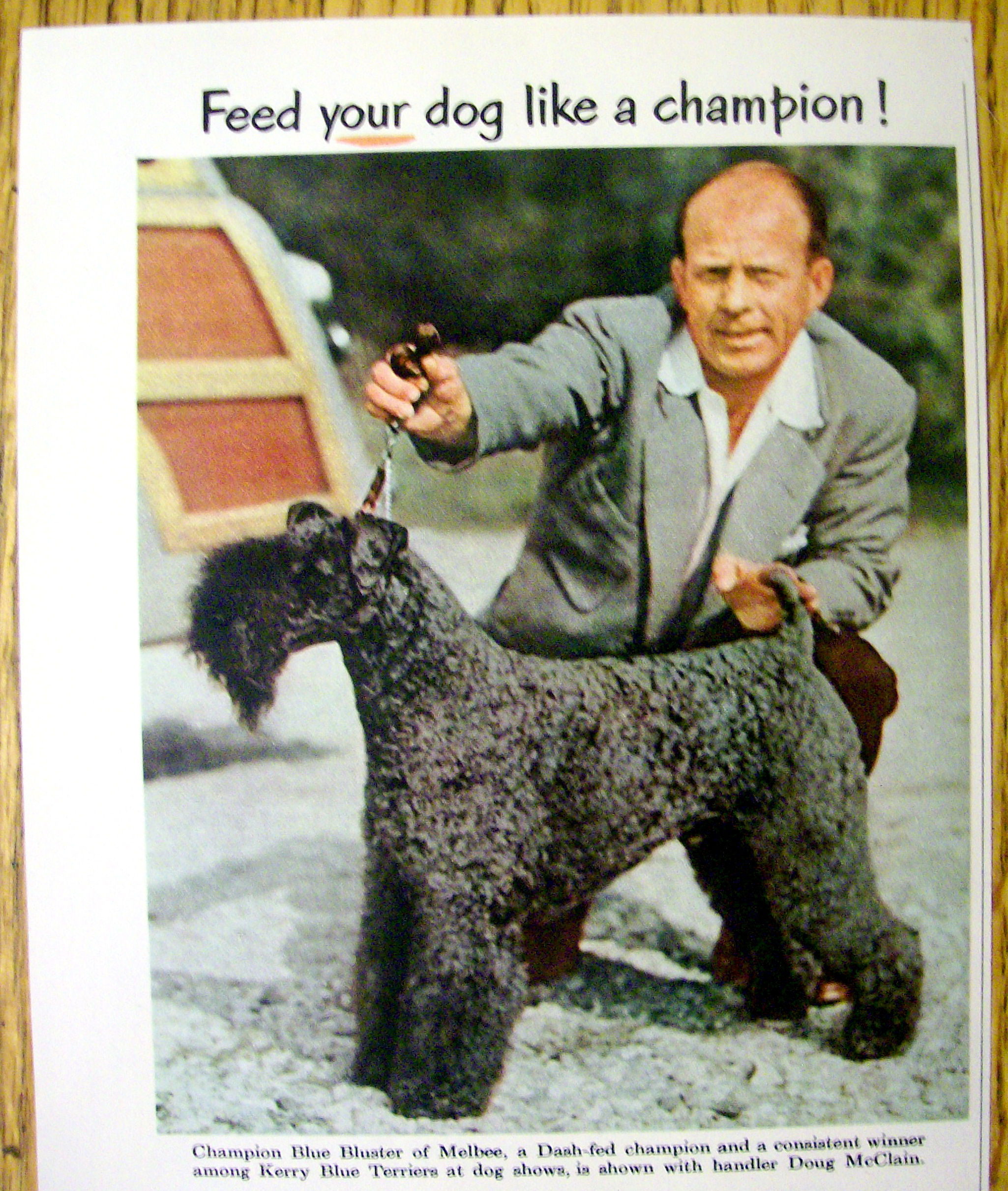 1952 Dash Dog Food with Handler Doug McClain