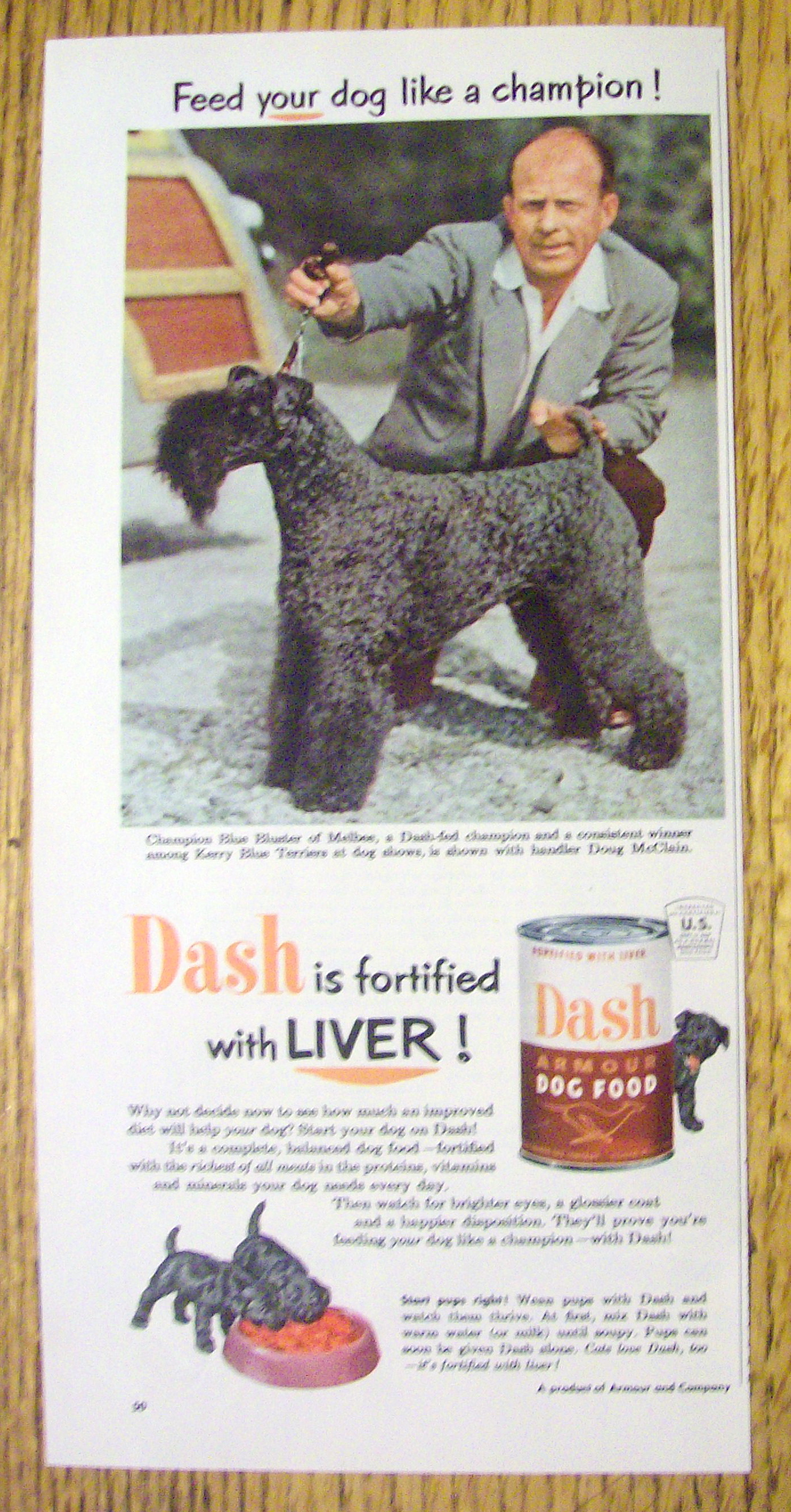 1952 Dash Dog Food with Handler Doug McClain