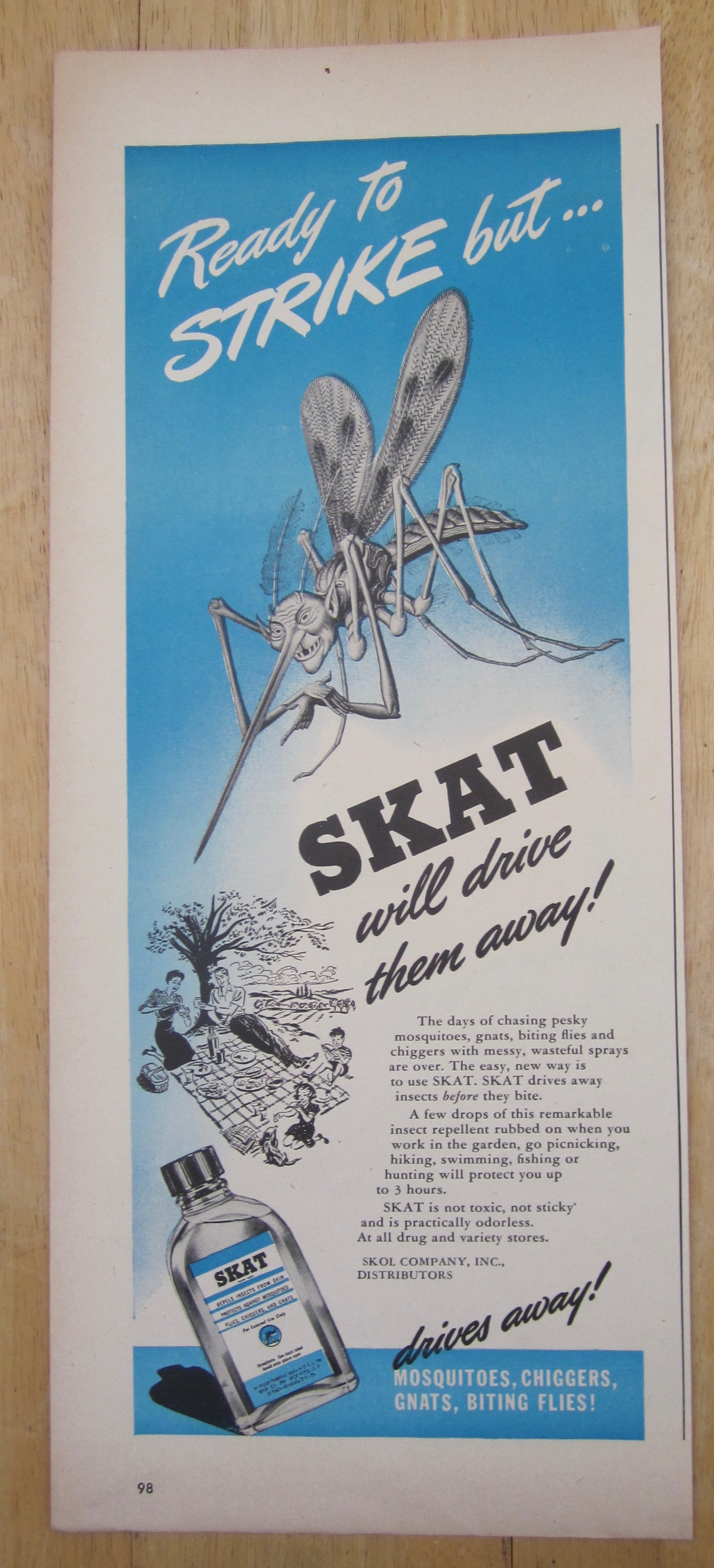 1945 Skat with Bug Looking At People Picnicking