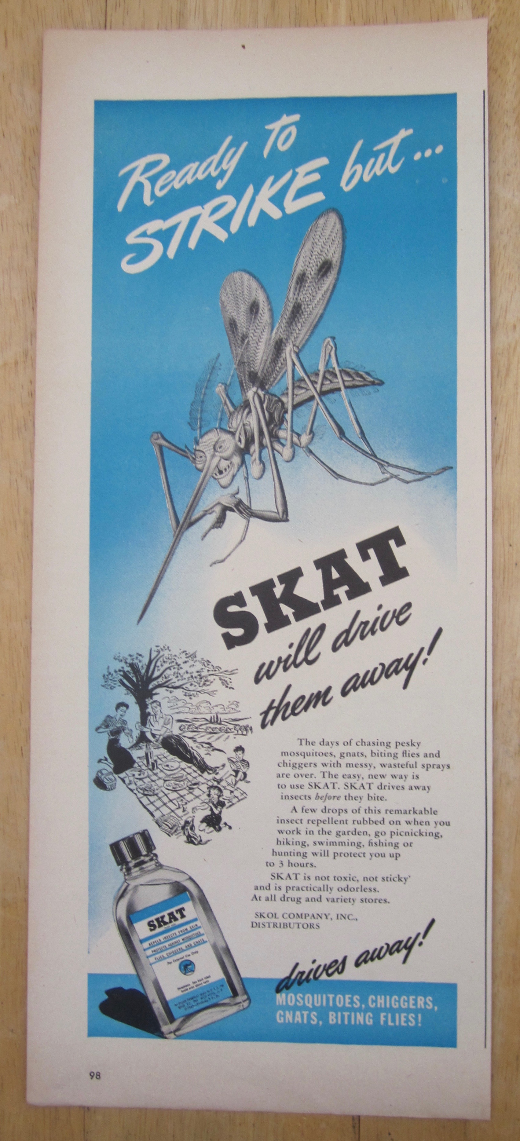 1945 Skat with Bug Looking At People Picnicking