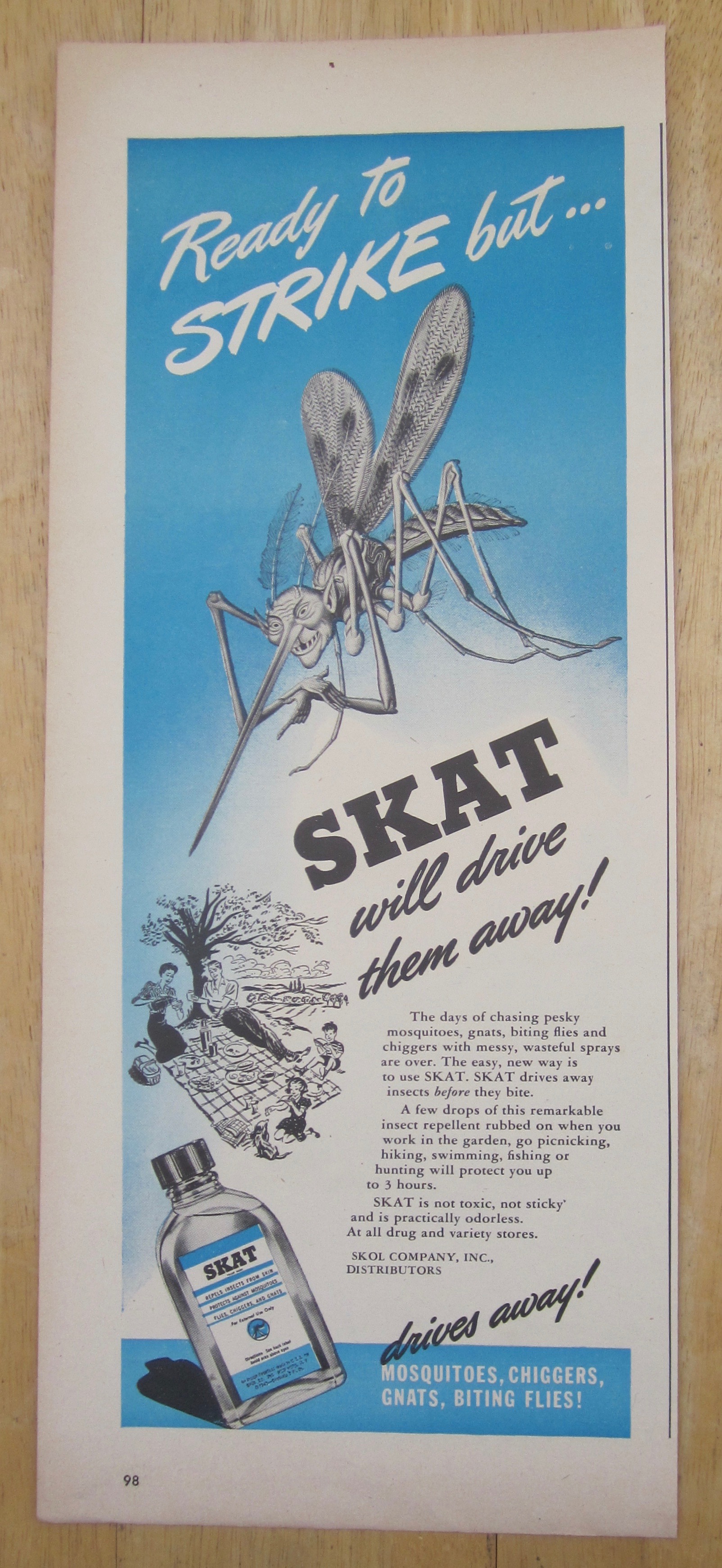 1945 Skat with Bug Looking At People Picnicking