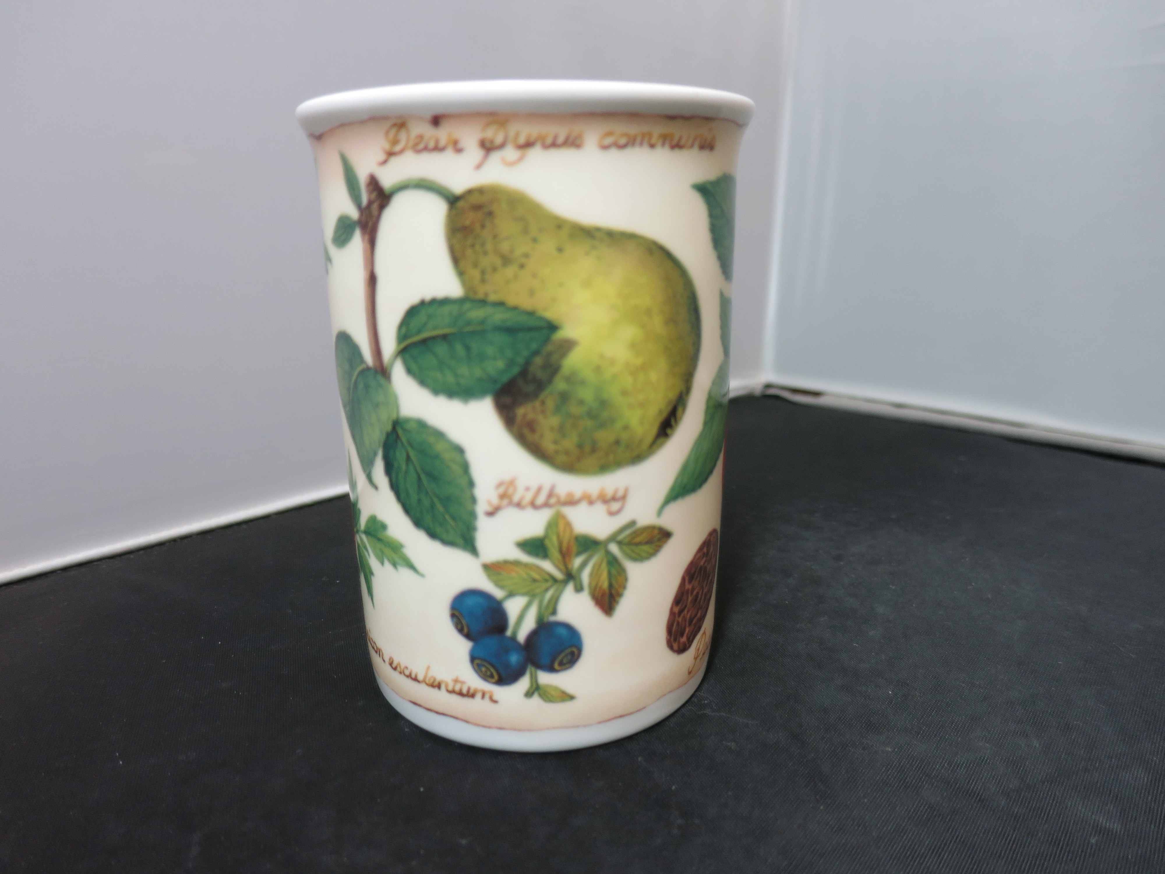 Roy Kirkham Parchment Fruit Cup Mug England 10 fl.oz.