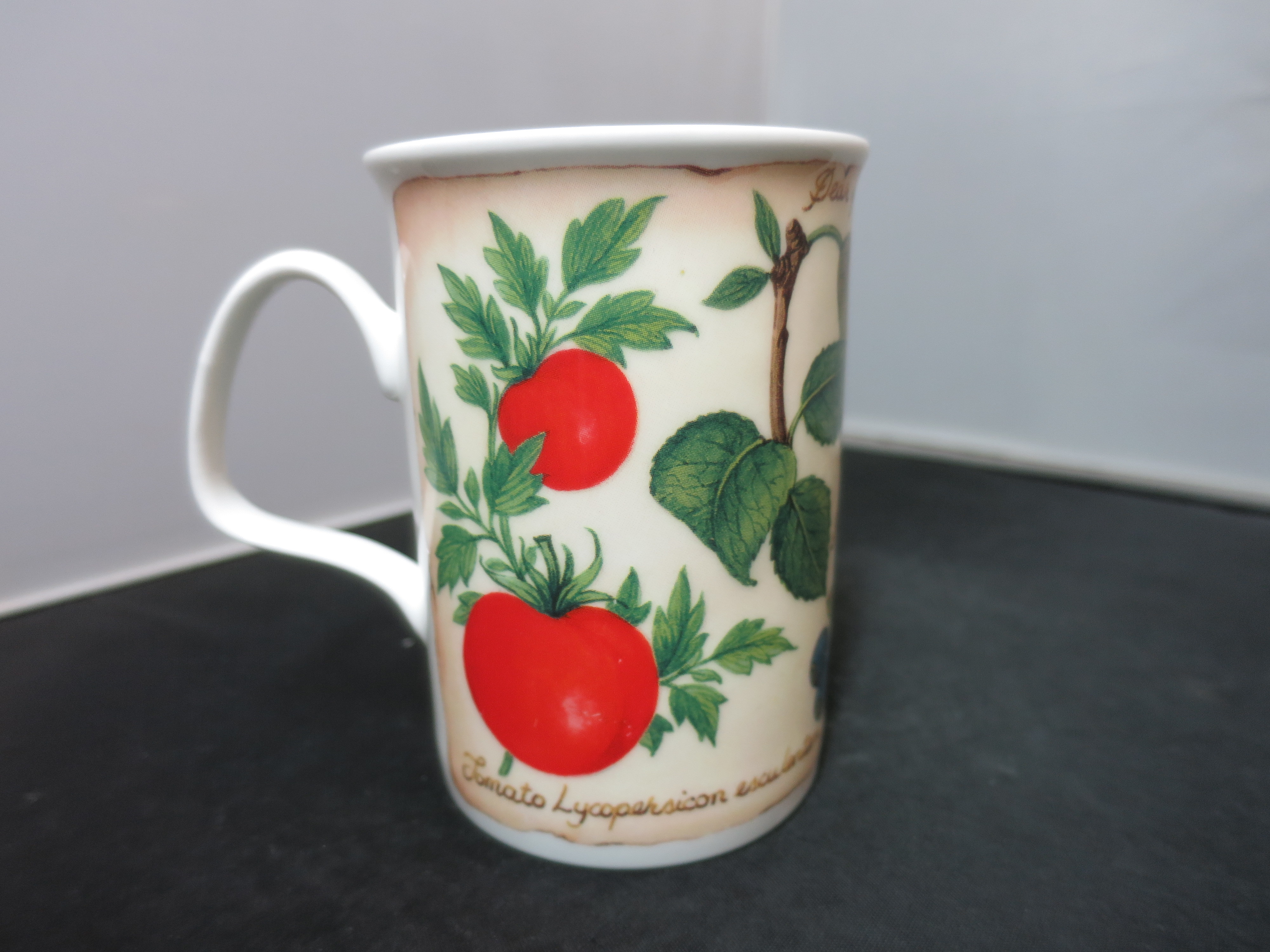 Roy Kirkham Parchment Fruit Cup Mug England 10 fl.oz.