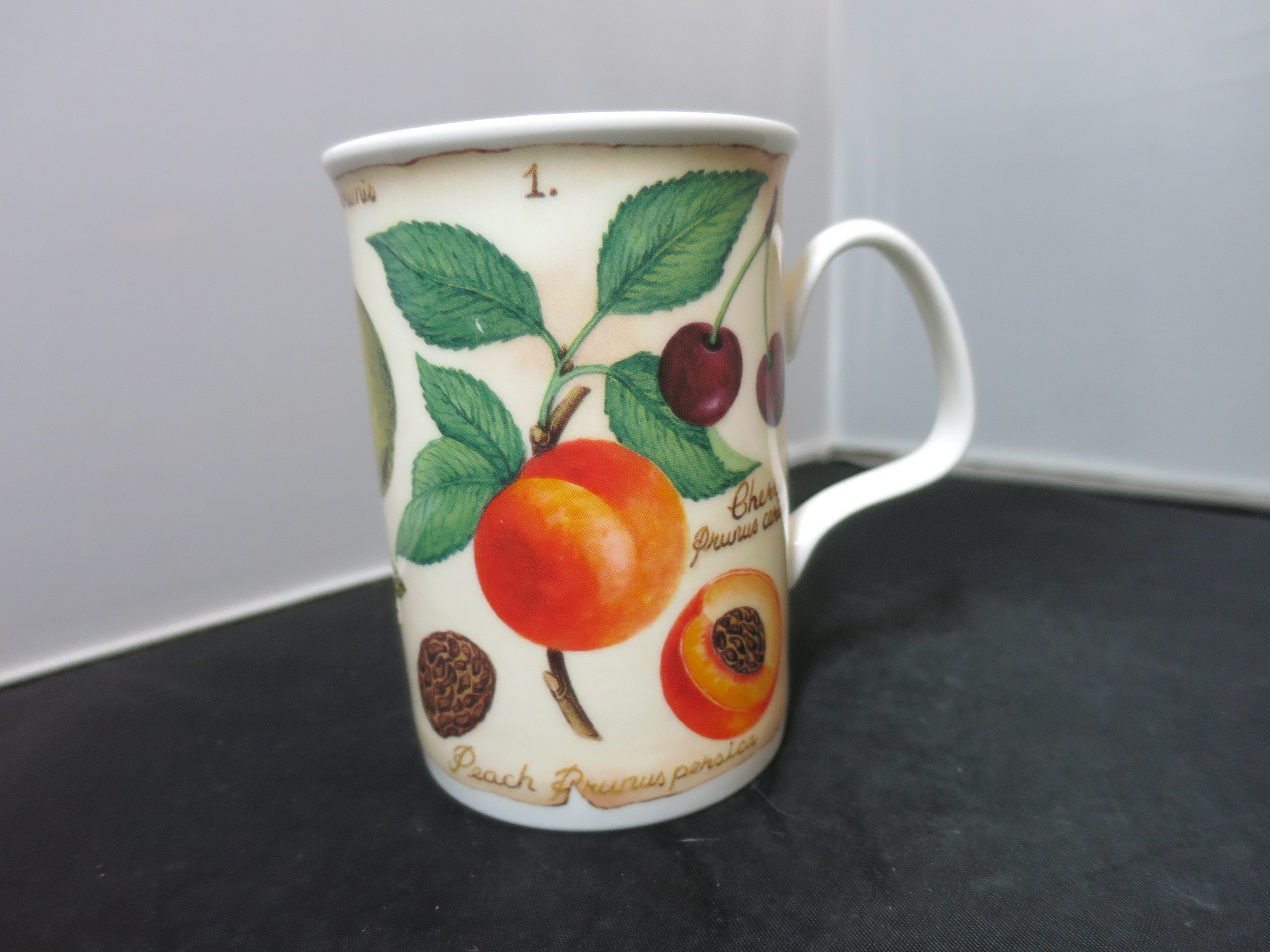 Roy Kirkham Parchment Fruit Cup Mug England 10 fl.oz.