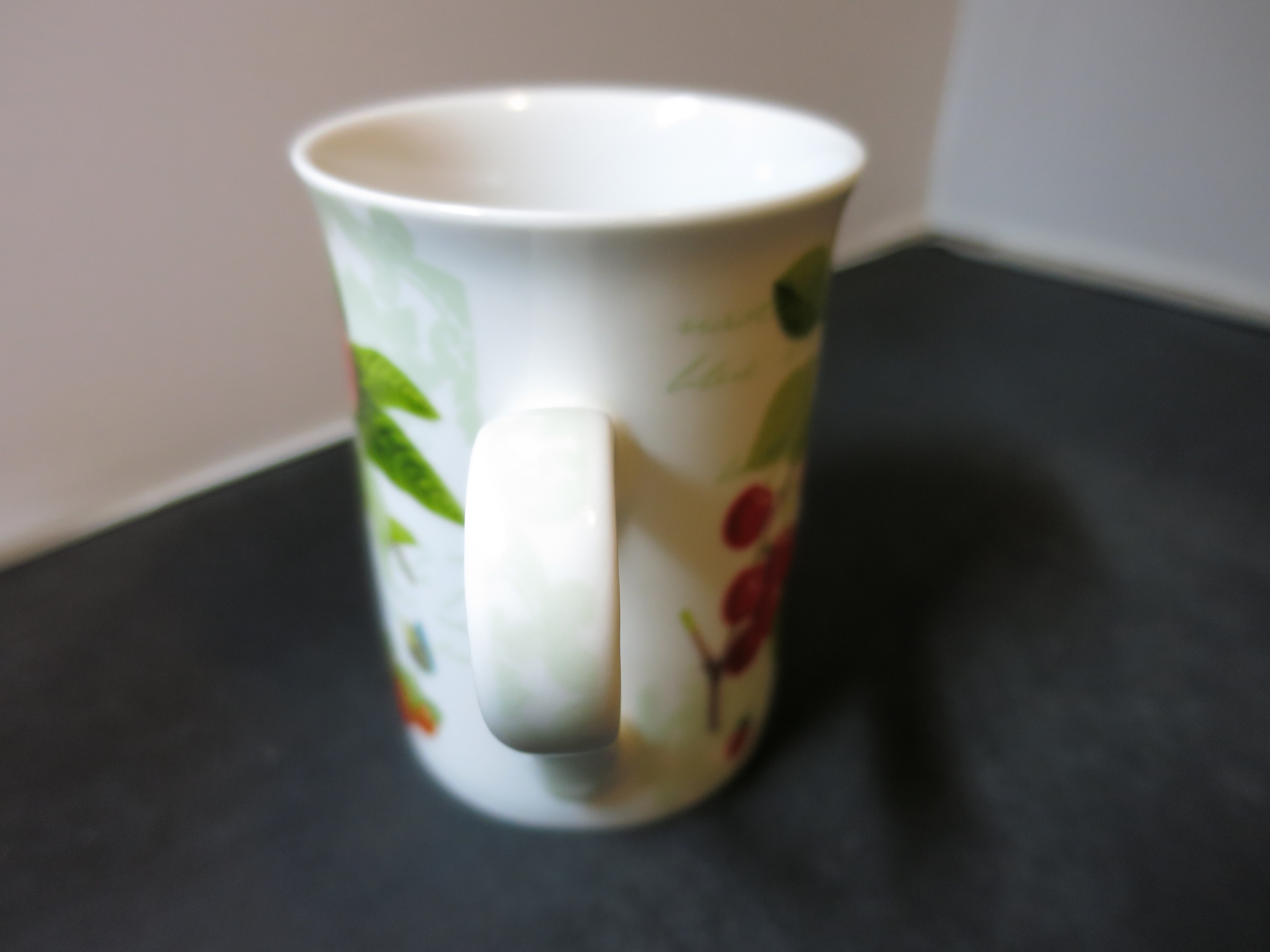 Masterpiece Collection Fruit Cup Mug 8 fl oz bone china