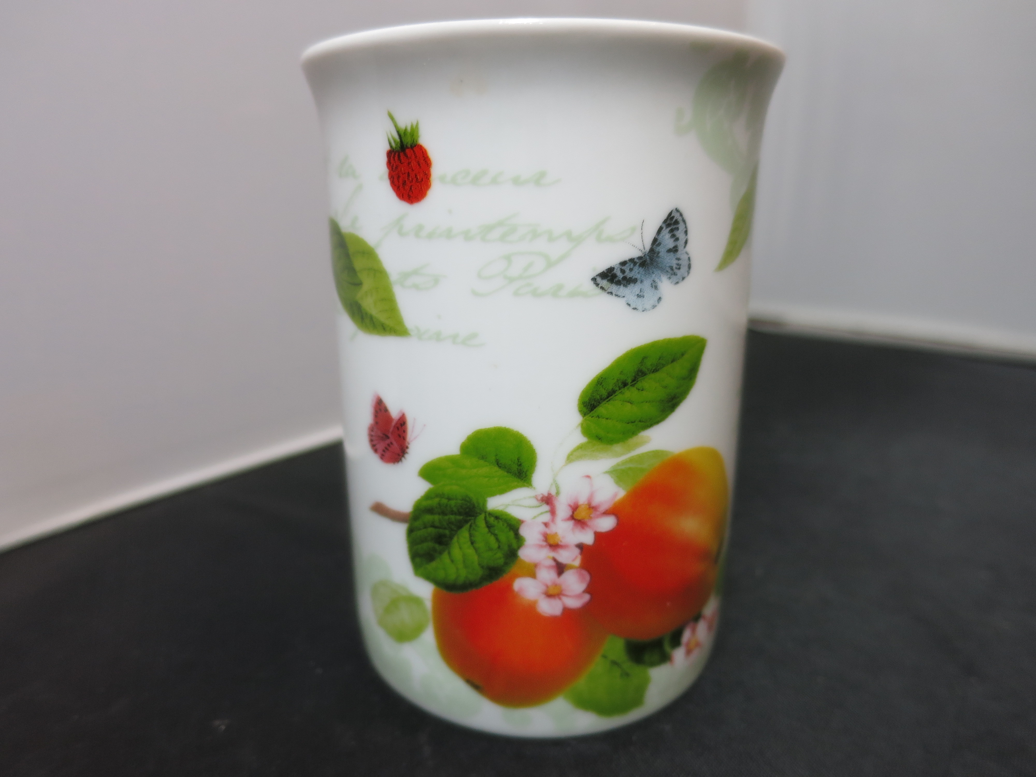 Masterpiece Collection Fruit Cup Mug 8 fl oz bone china