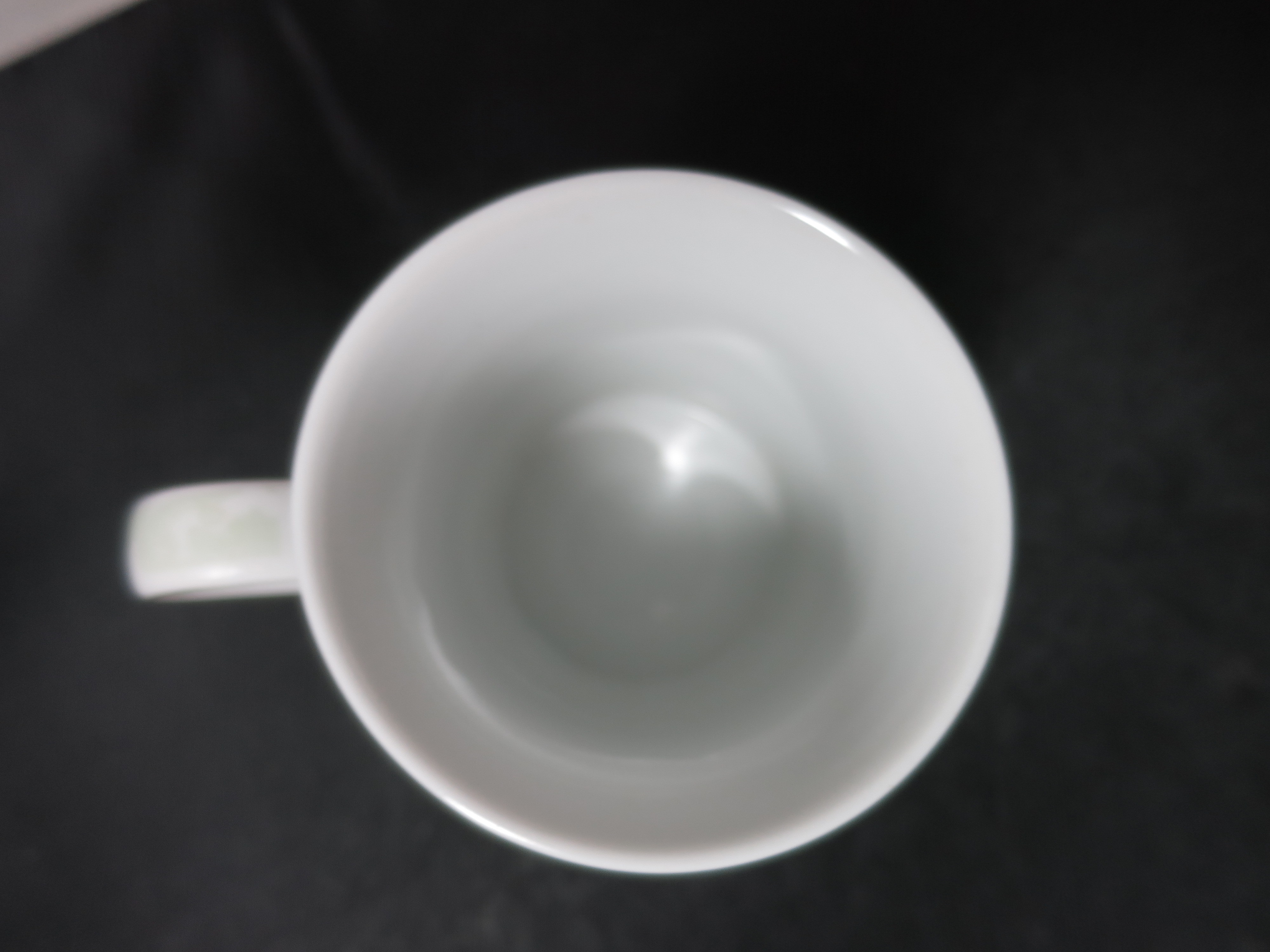 Masterpiece Collection Fruit Cup Mug 8 fl oz bone china