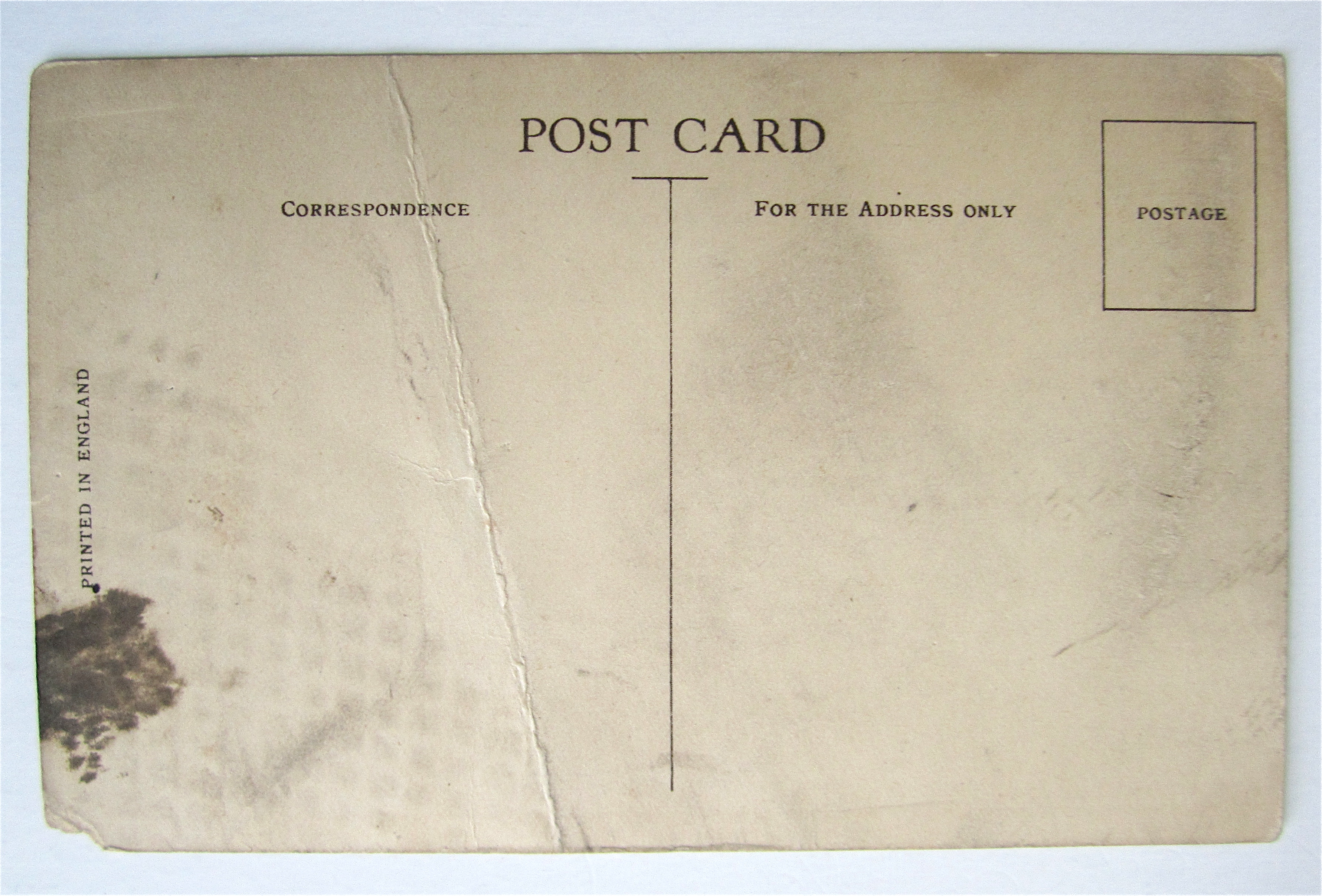 Cunard Line Postcard