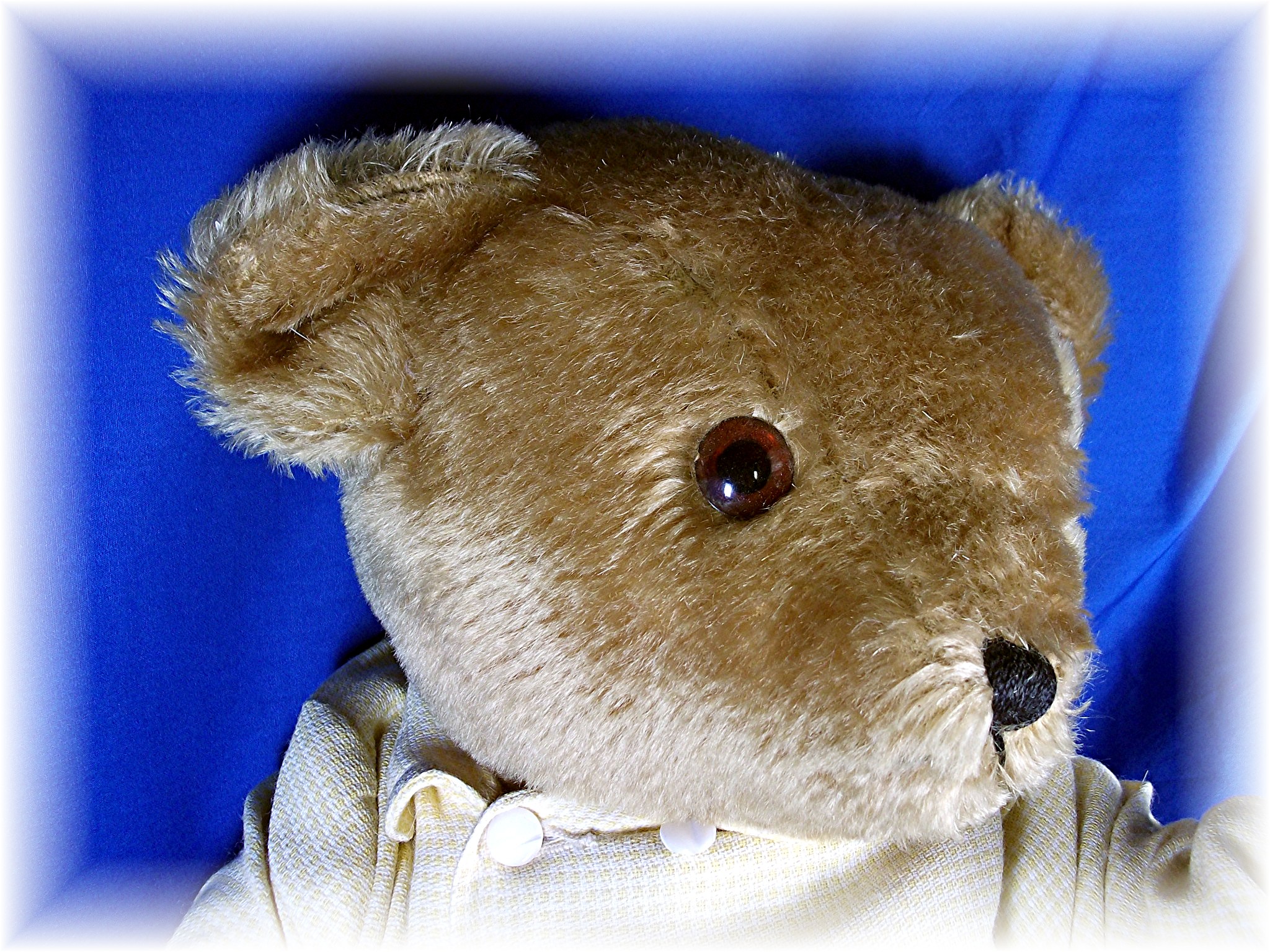 English Deans' Childsplay 20 inch, jointed Teddy Bear