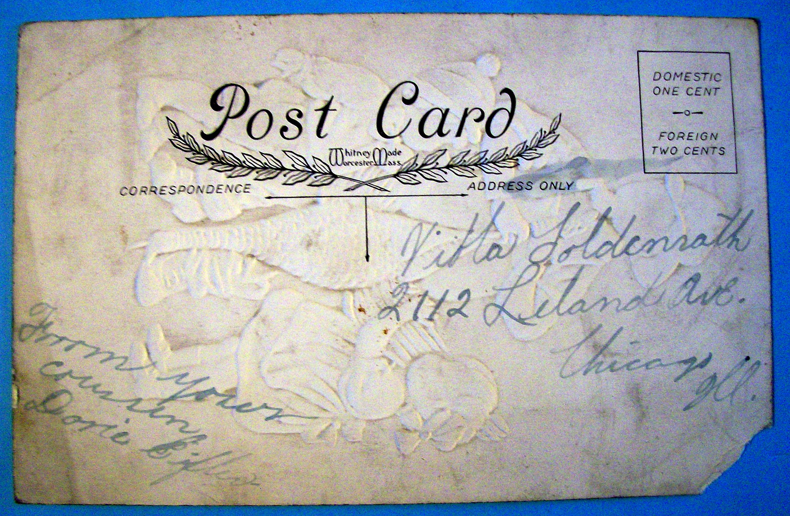 We Do Love Turkey, We also Love You Postcard