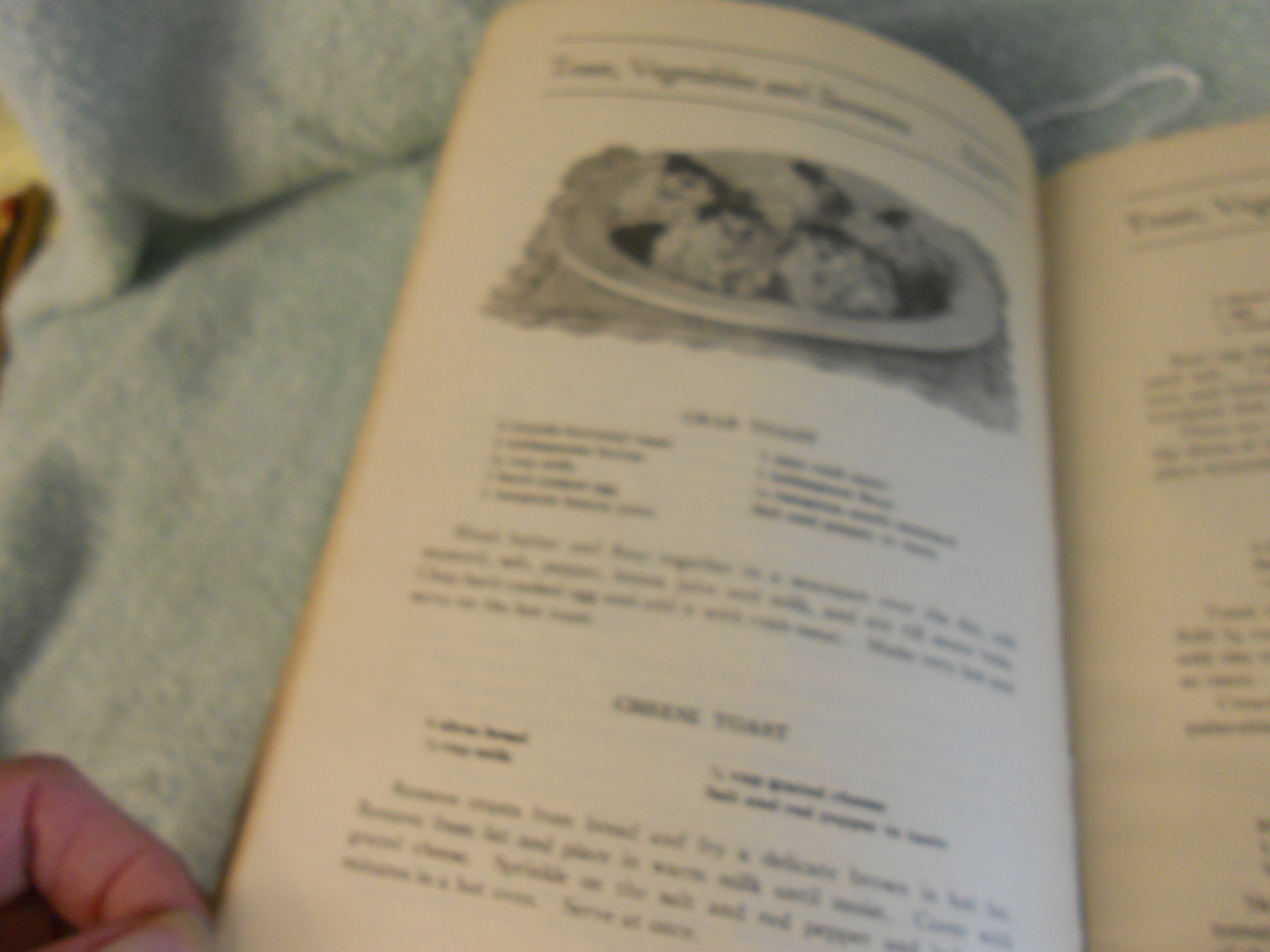 Fleishman's Sixty-Five Delicious Dishes Book