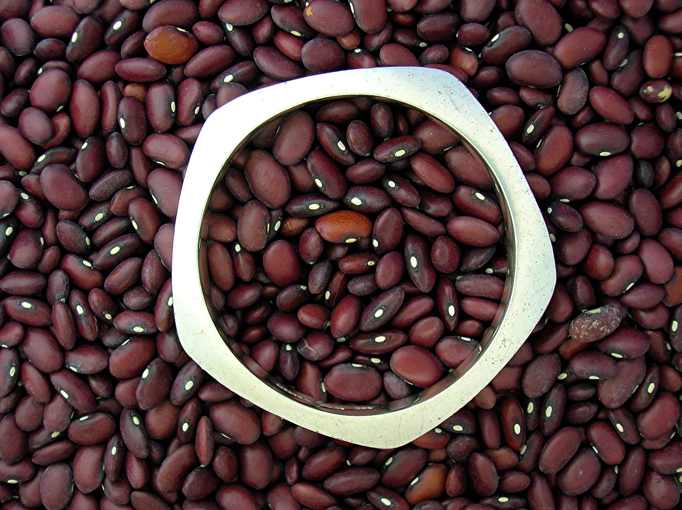 Taxco Mexico Sterling Silver Bangle bracelet TN-02