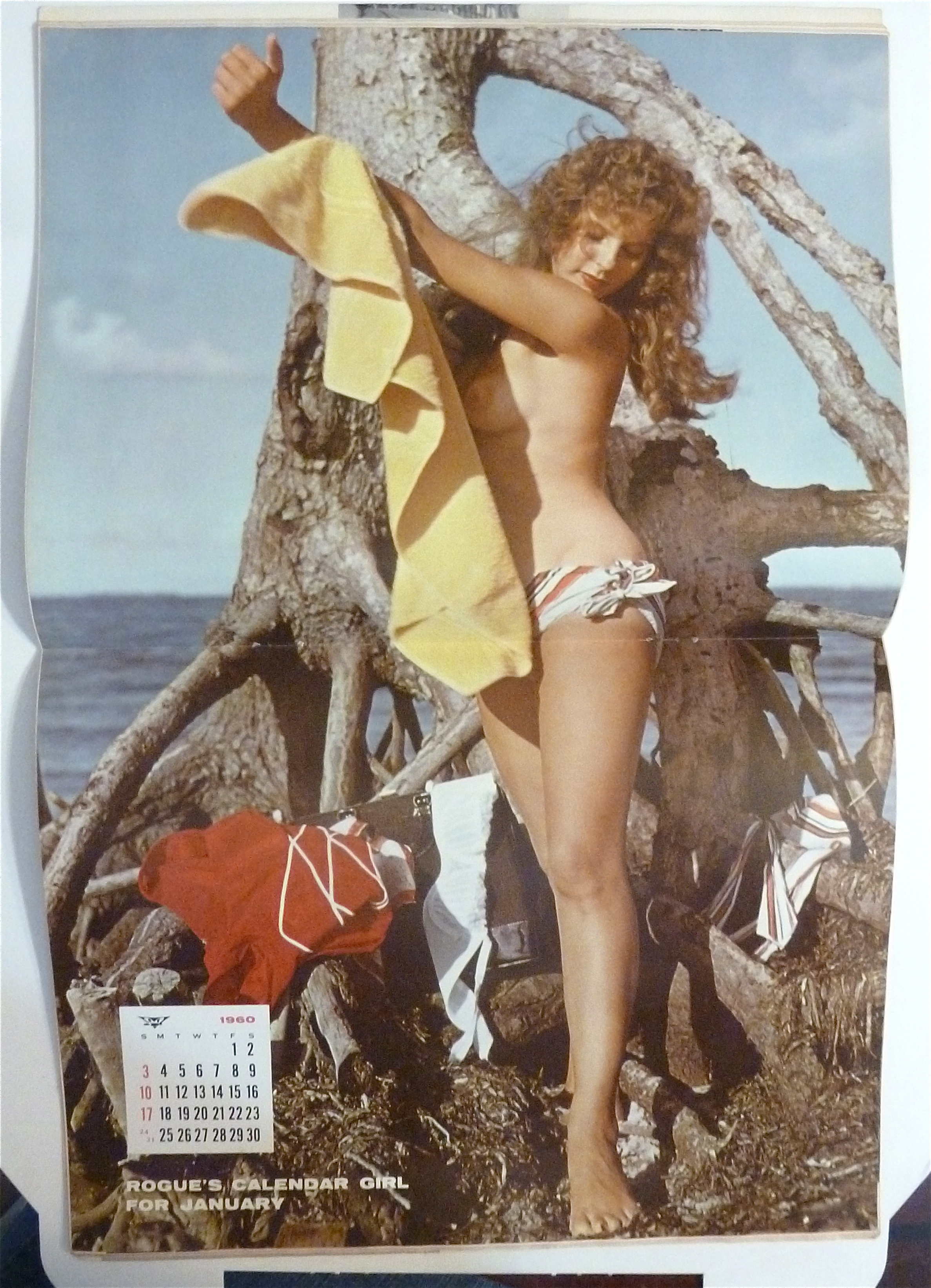 Rogue Magazine - January 1960 - Guinevere