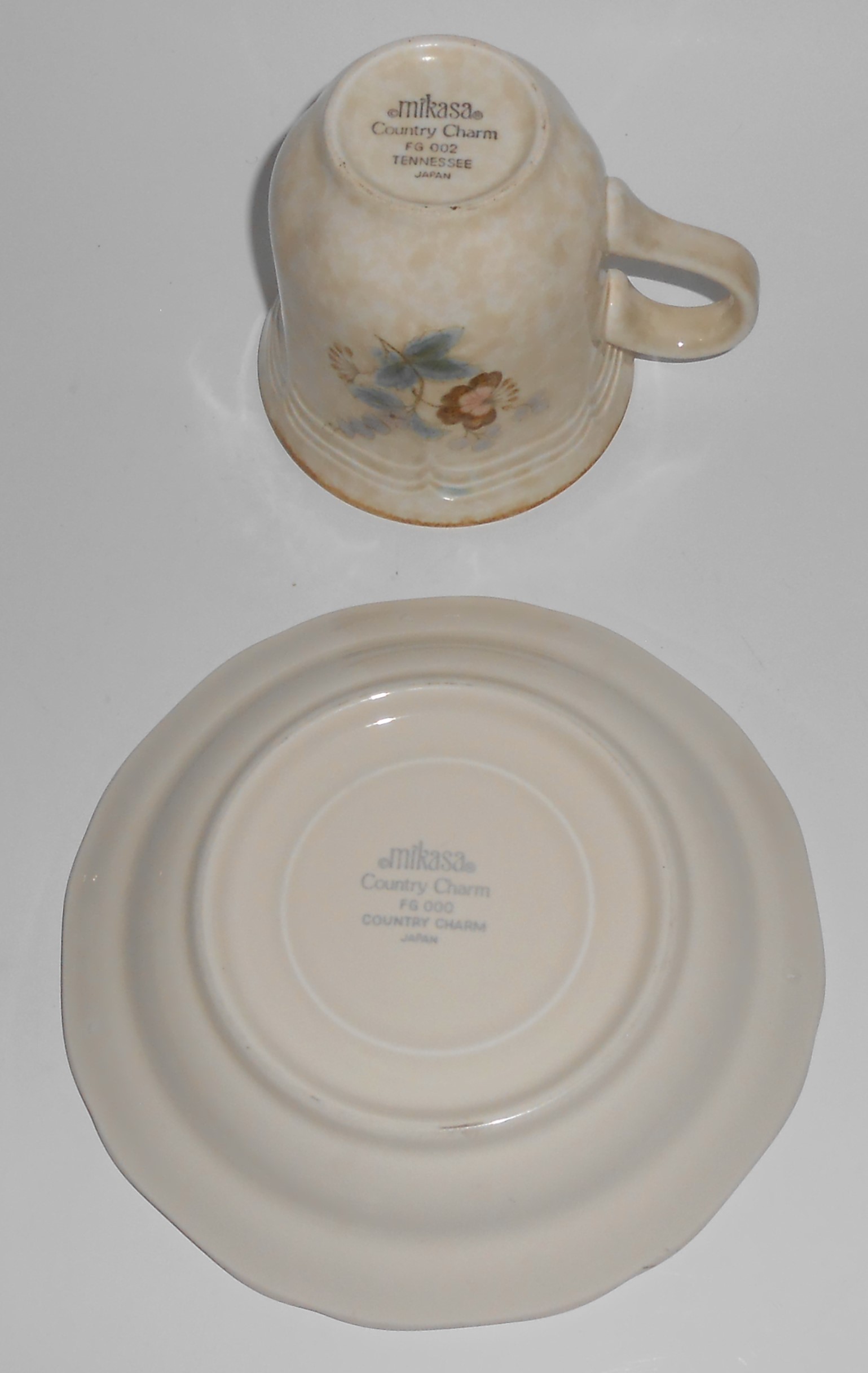 Mikasa China Country Charm Tennessee Cup & Saucer Set