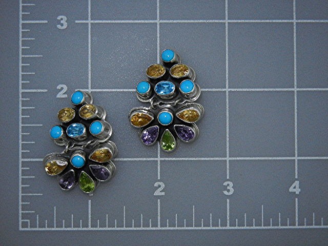 Navajo Sterling Silver Gemstone Geneva Apachito Earring