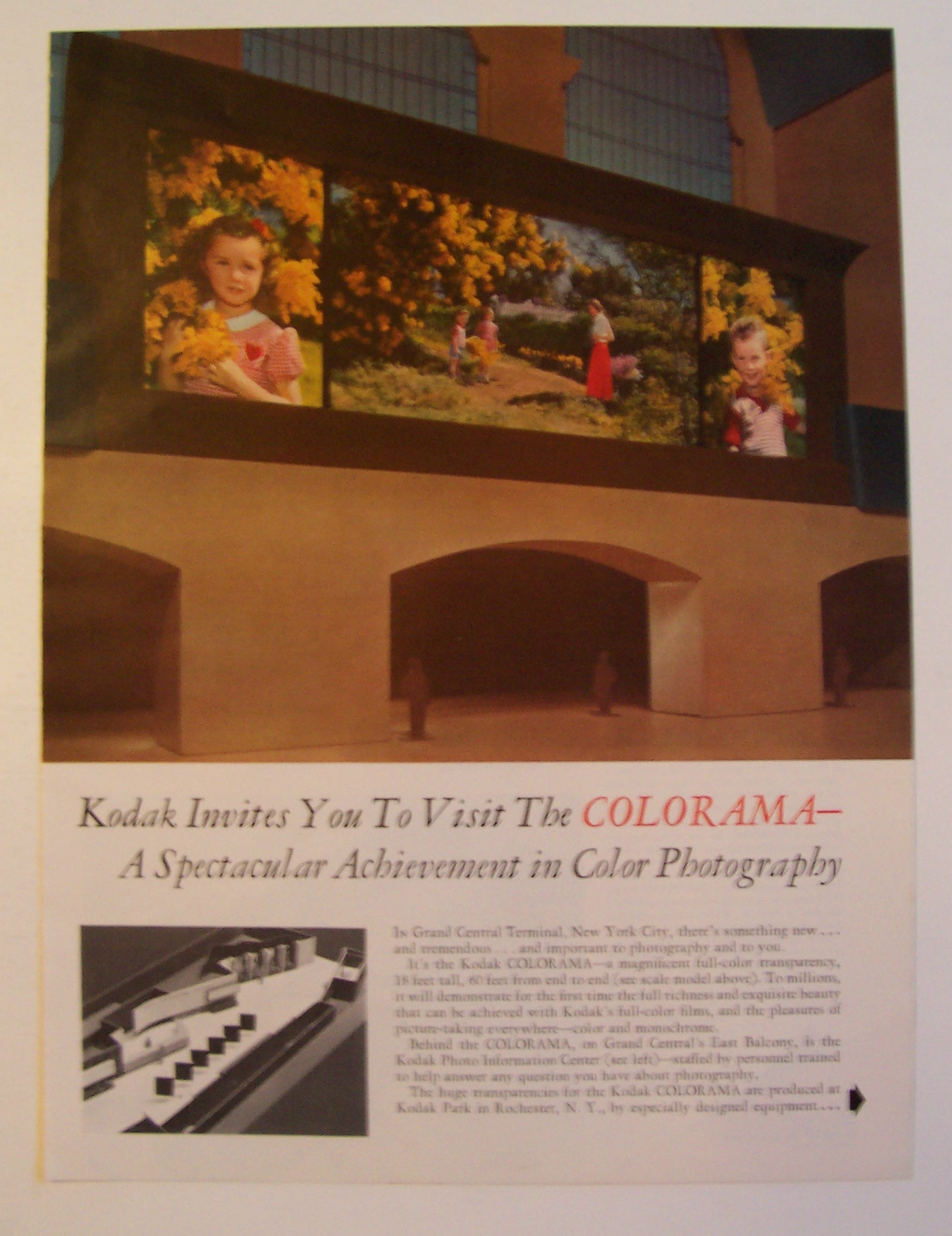 1950  Kodak  Colorama