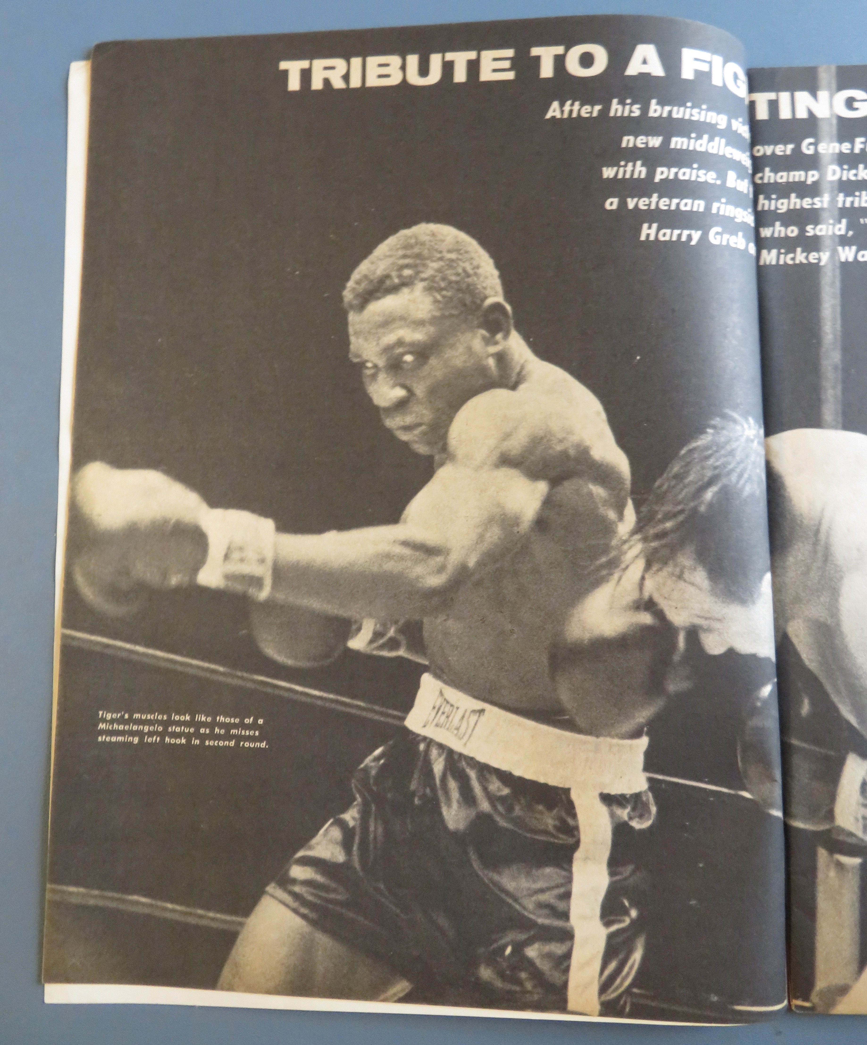 Boxing Illustrated Wrestling Magazine January 1963