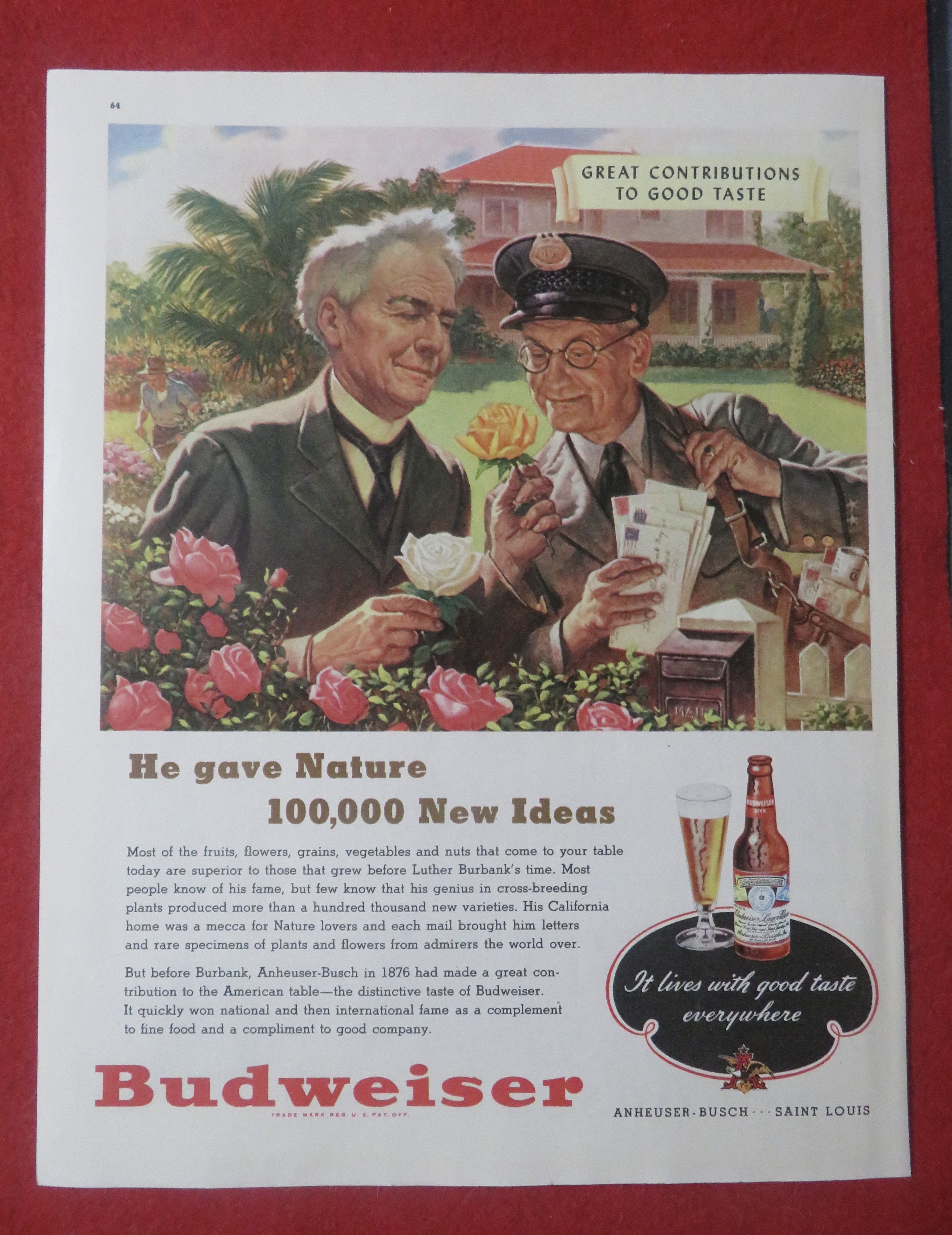 1948 Budweiser Beer with Mailman & Man Look At A Flower