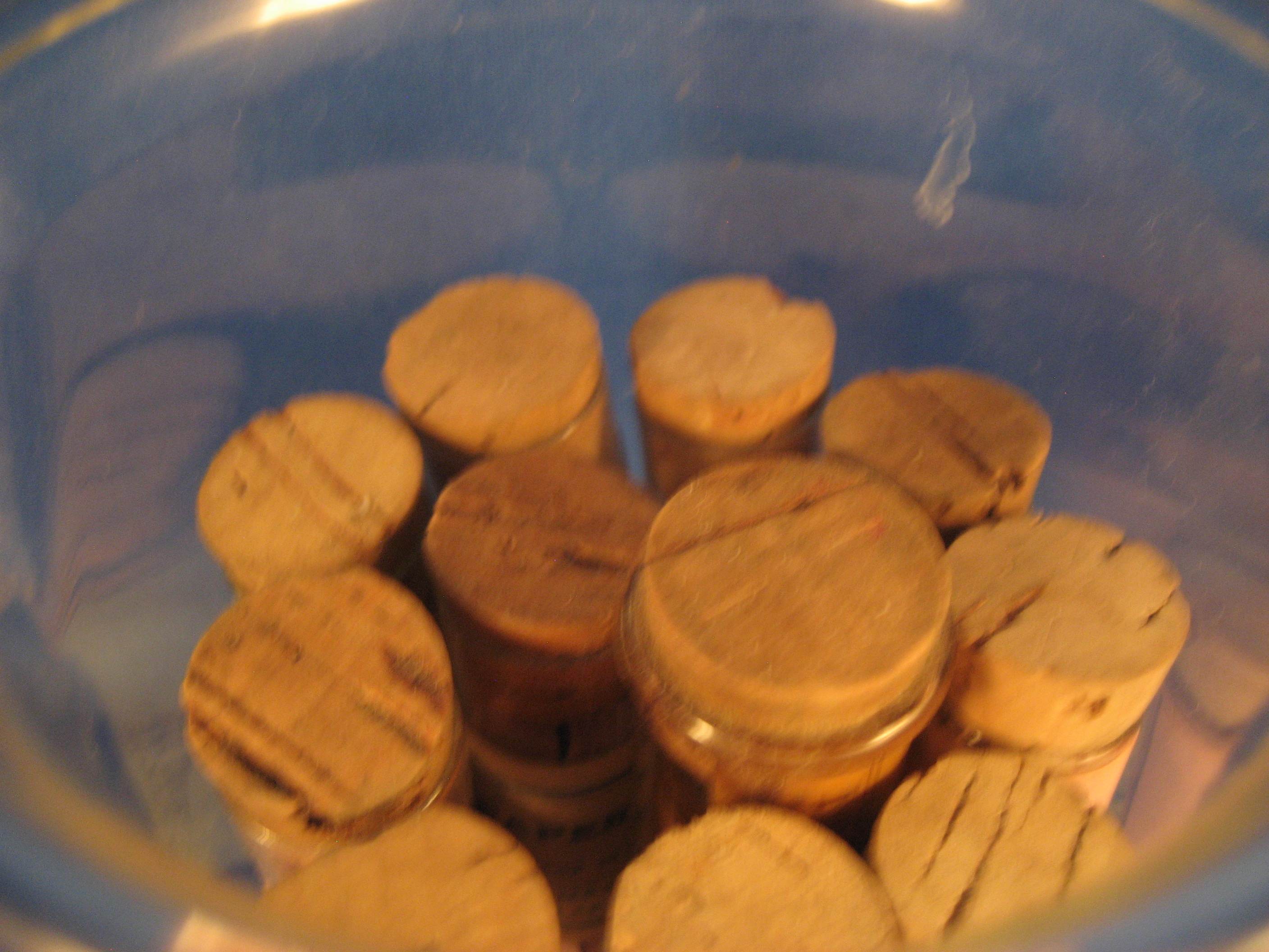 Thirteen Glass Tubes of Litmus Paper and Beaker