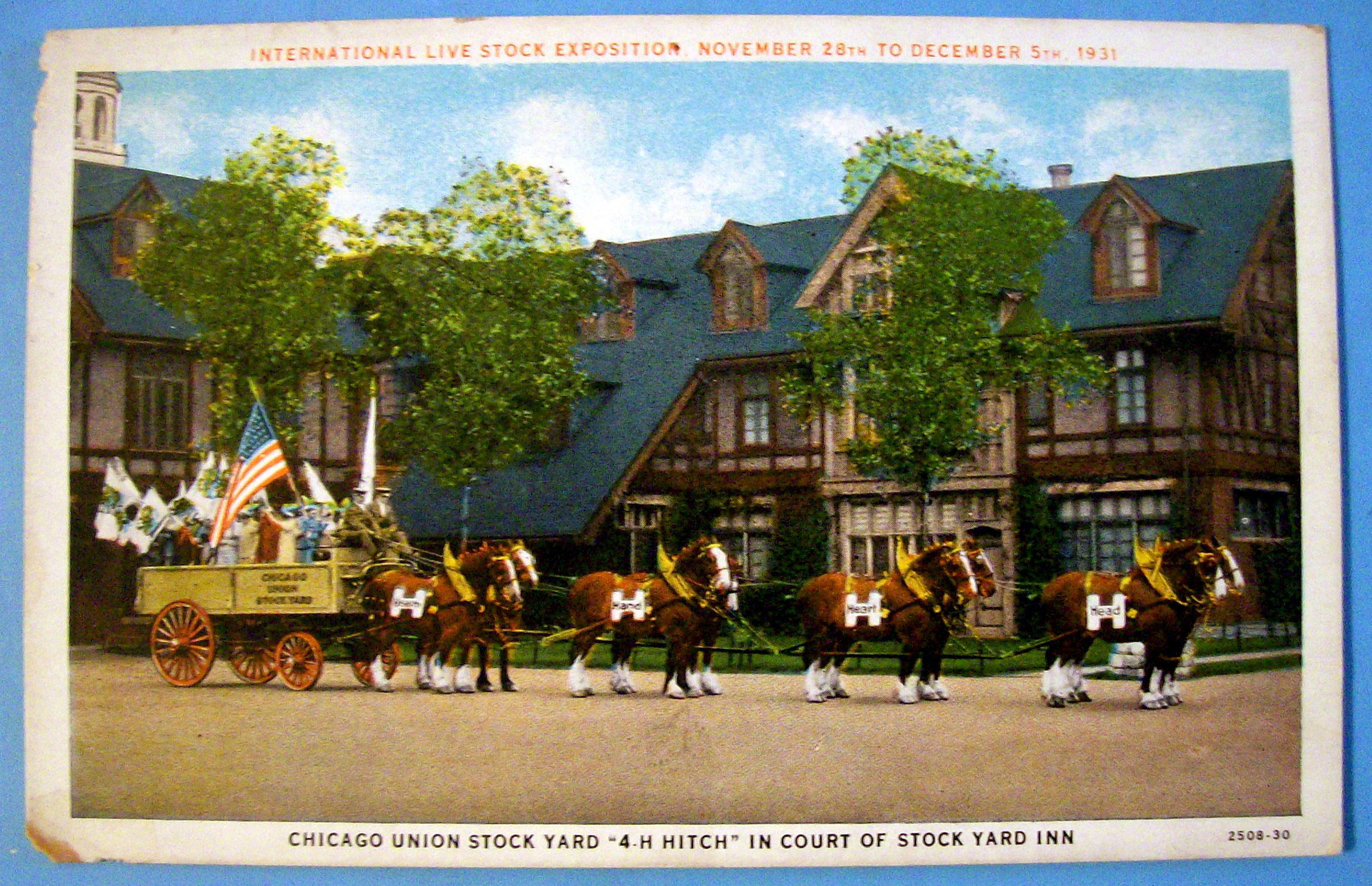 1931 Livestock Exposition, Stock Yard Postcard